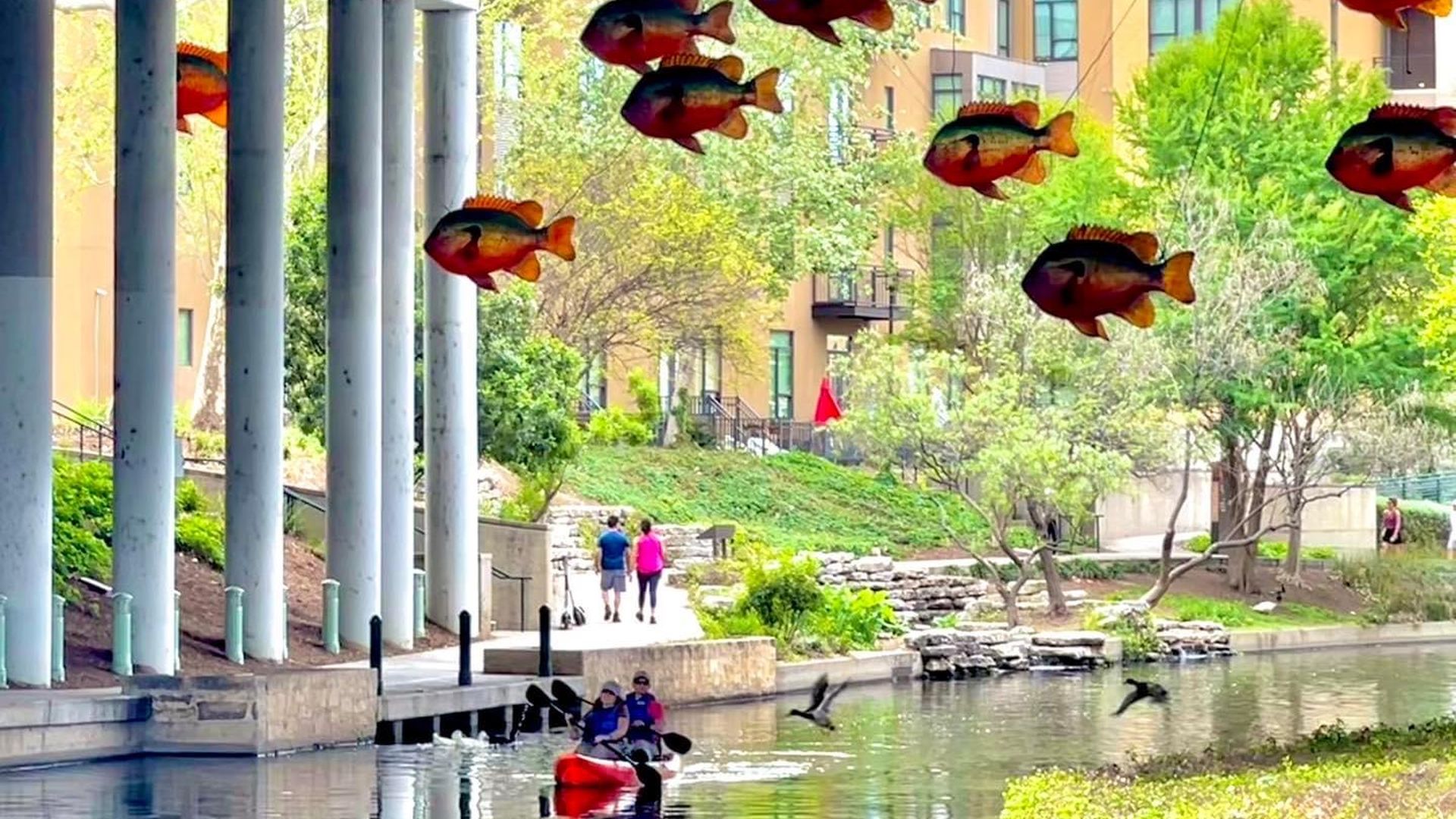 Kayakers paddle the Museum Reach of the San Antonio River. 