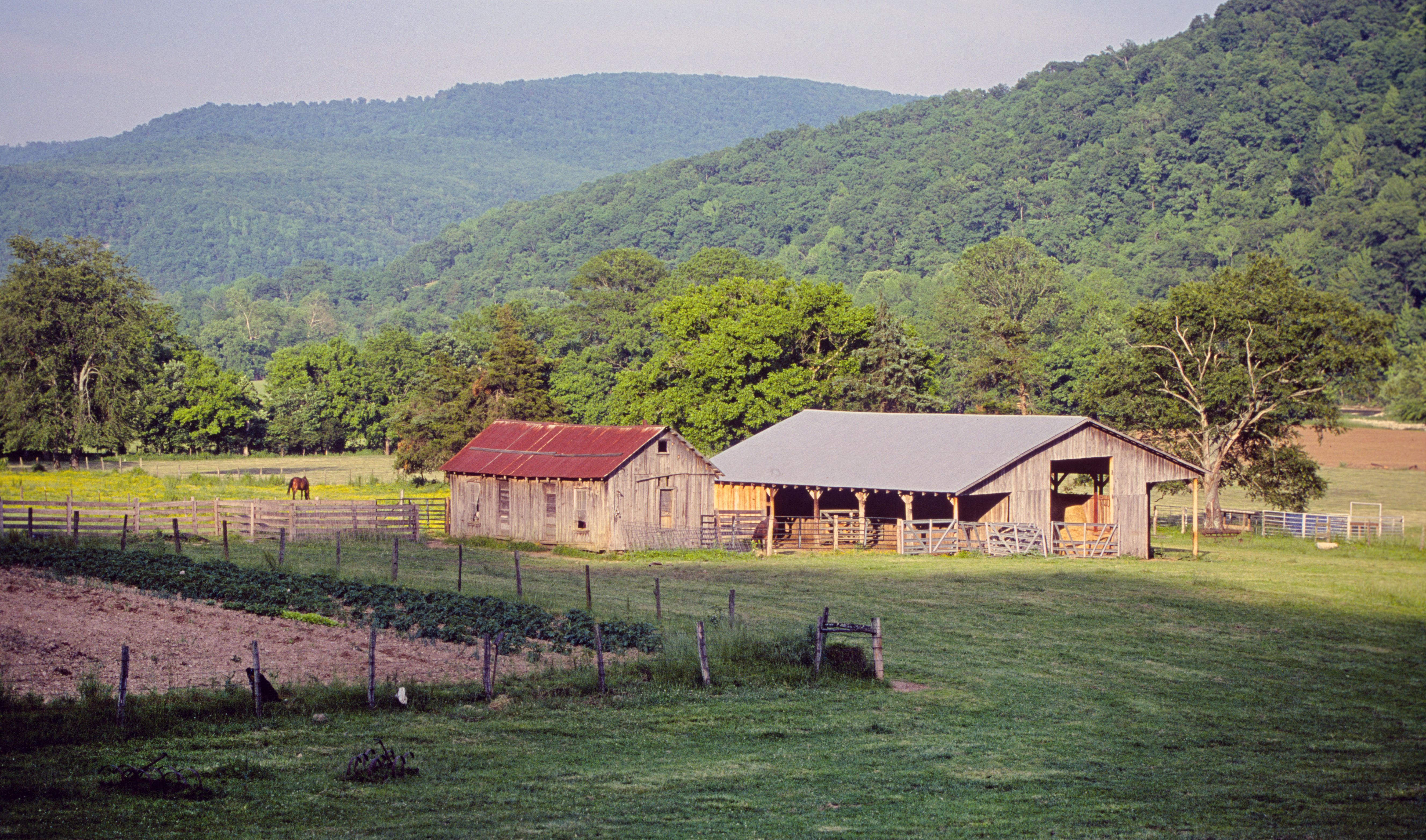 Photo of a farm near a mountain 