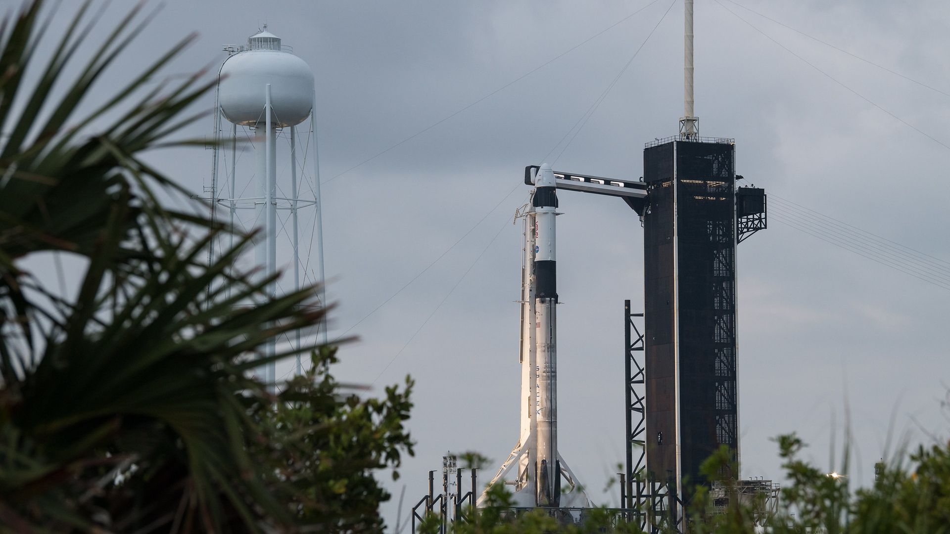 A SpaceX rocket stands on a pad framed by trees.