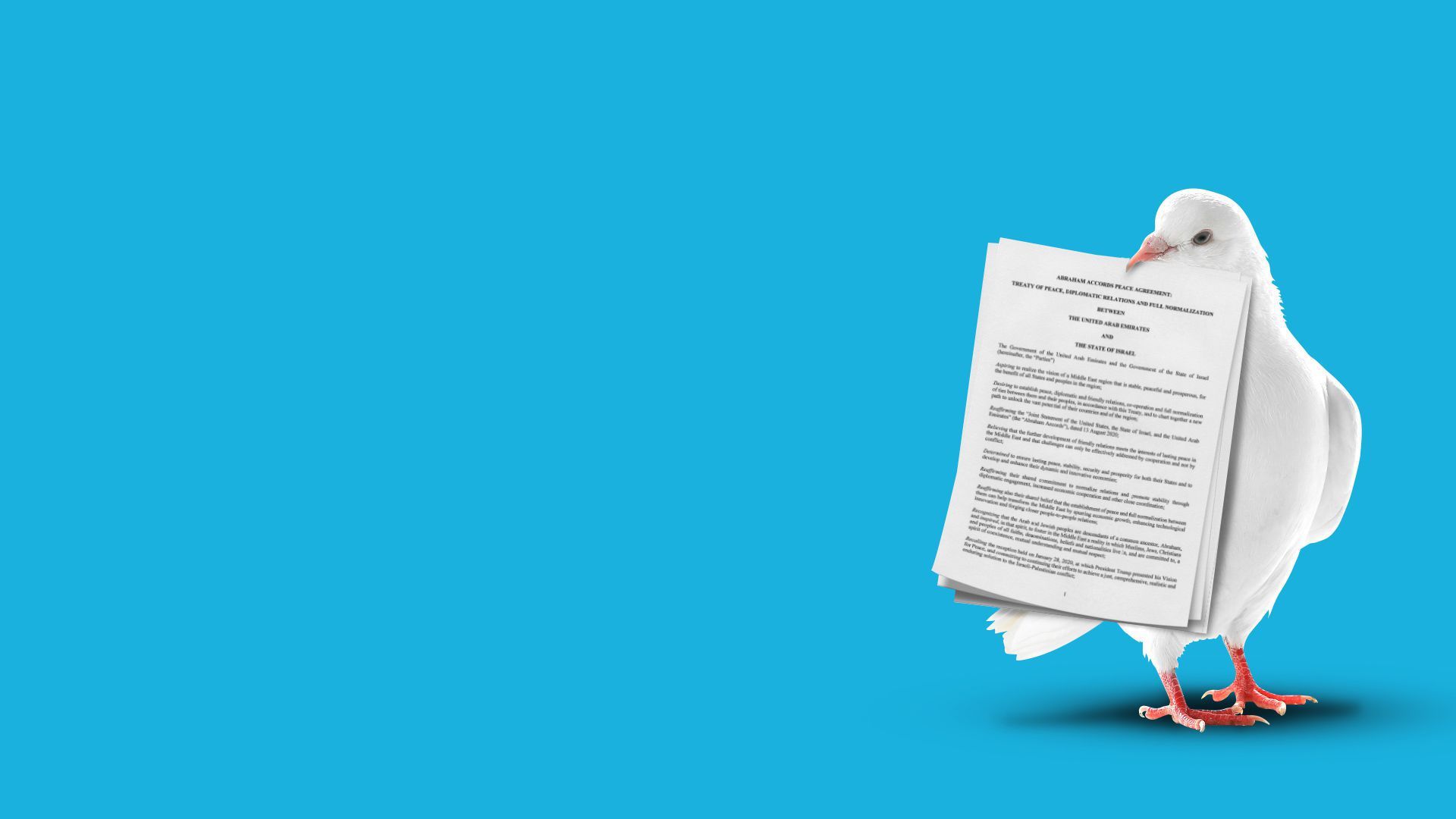 Editorial illustration of a bird holding a paper