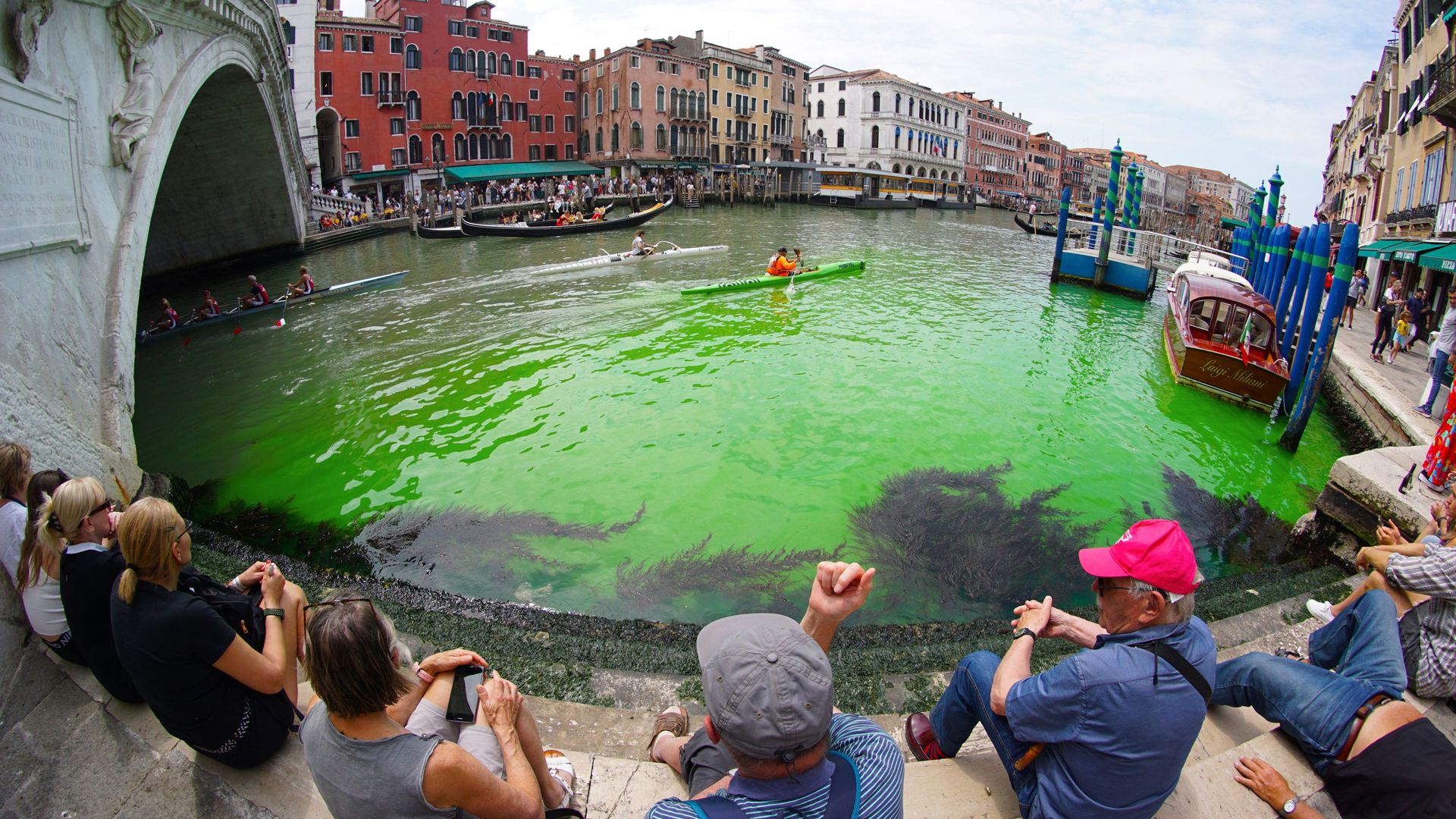 People below the Rialto Bridge in Venice's Grand Canal on May 28.