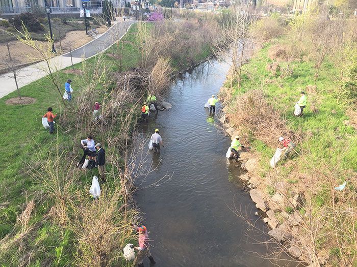 stream clean up team