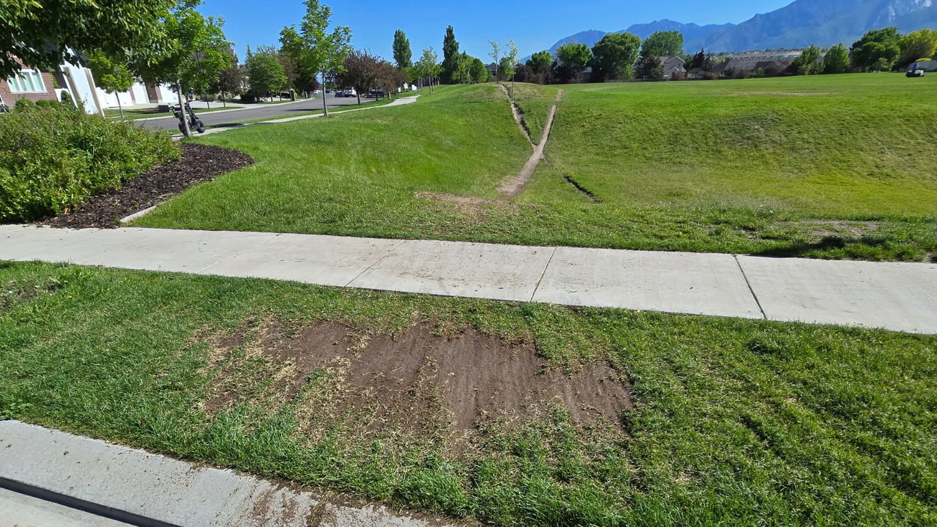 A damaged lawn in a park with mountains in the background