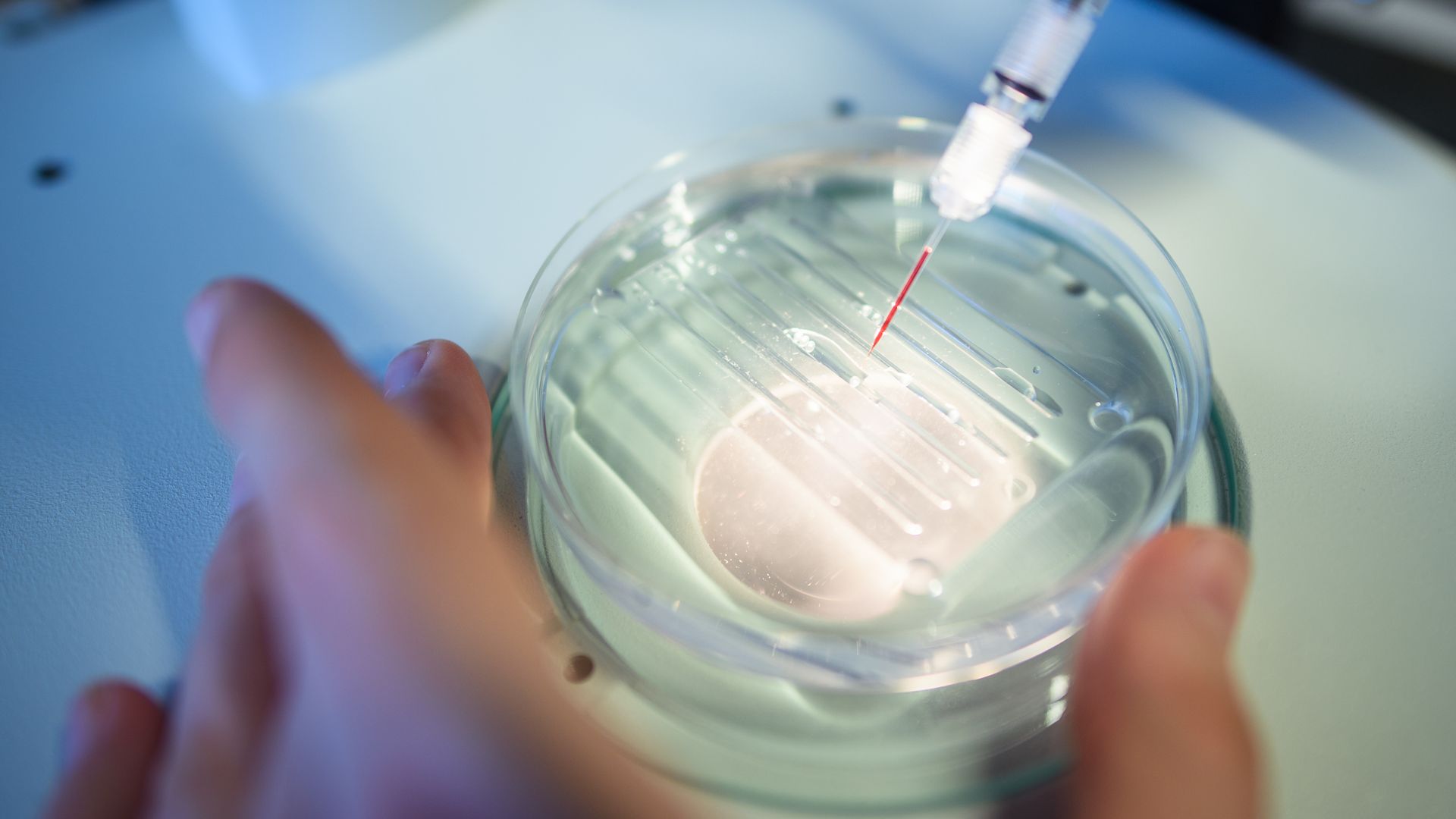 A researcher performs a CRISPR/Cas9 process at the Max-Delbrueck-Centre for Molecular Medicine.