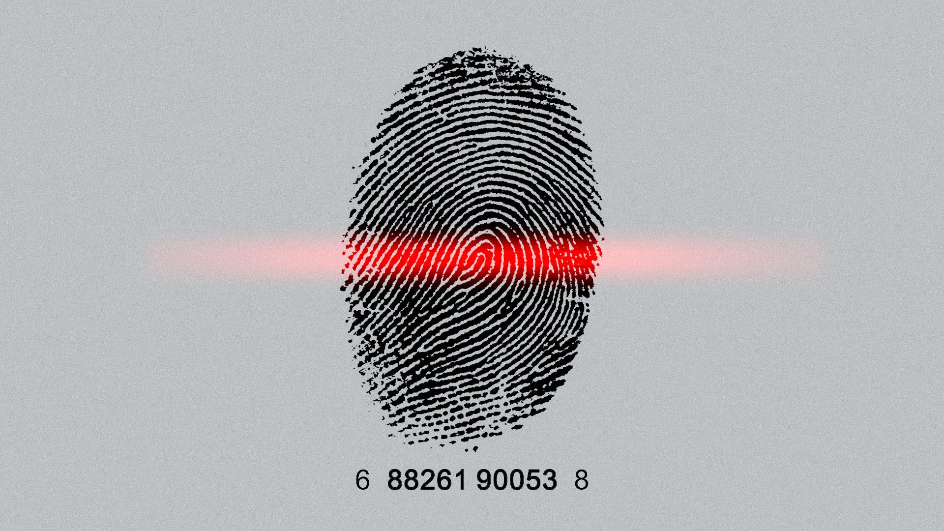 Illustration of a fingerprint as a barcode
