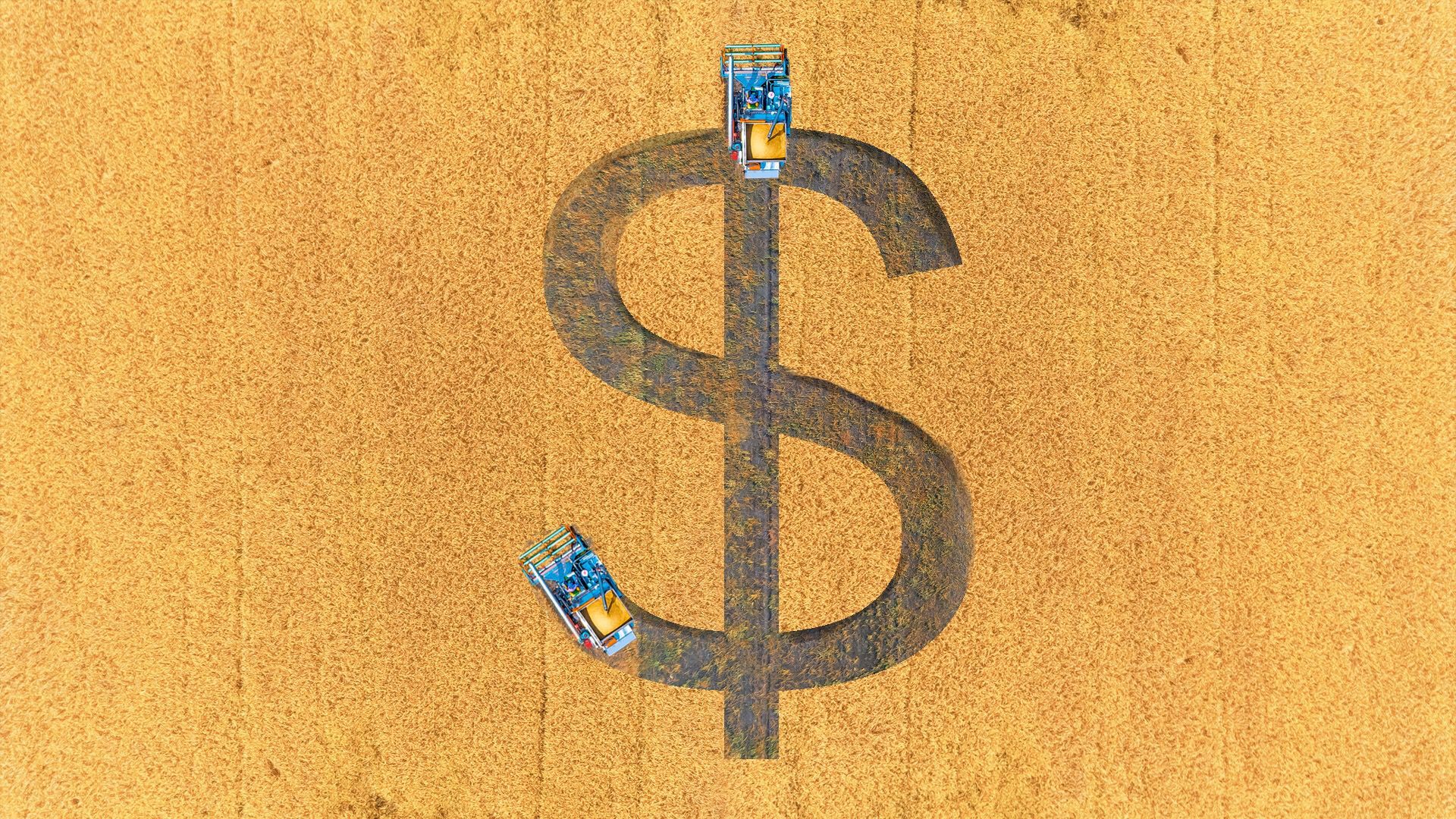 Illustration of combine harvesters making a dollar sign in a field.