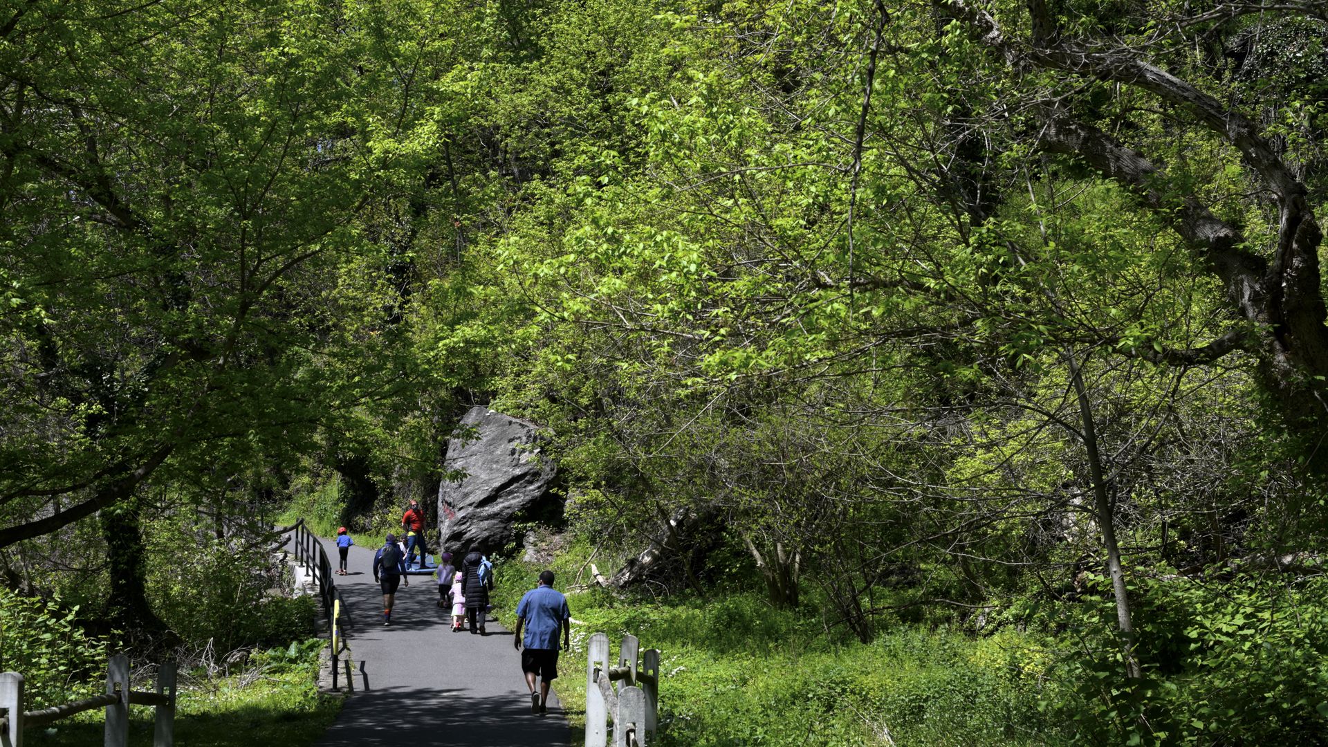A group of people walking on a paved path through a green forest with bright sunlight and a large rock near the path under clear blue sky.