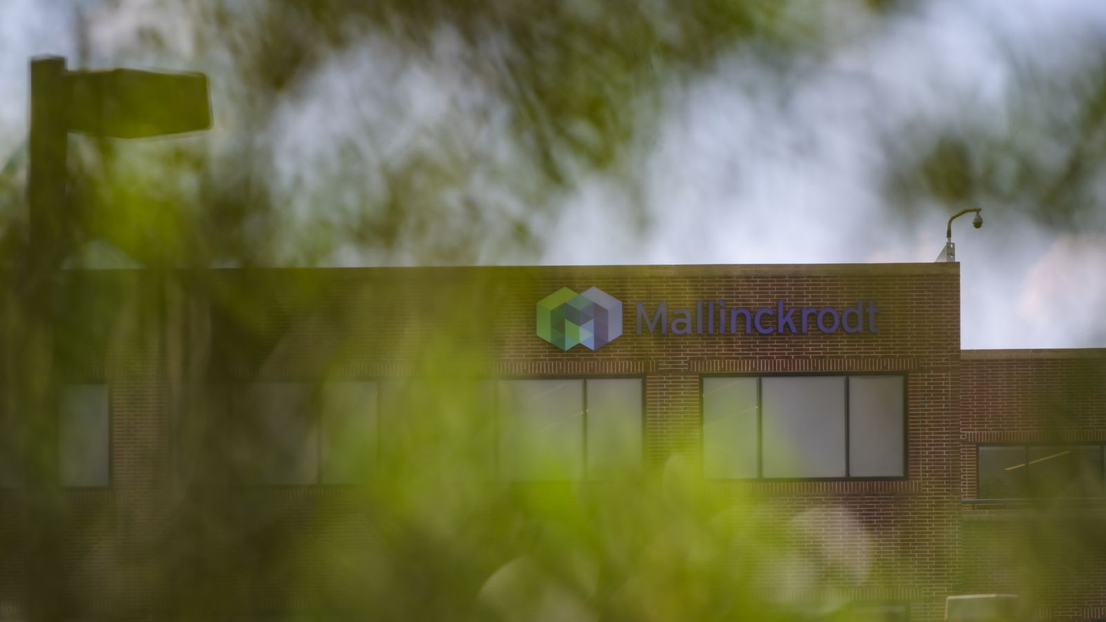 Mallinckrodt proposes 1.6 billion opioid settlement via bankruptcy