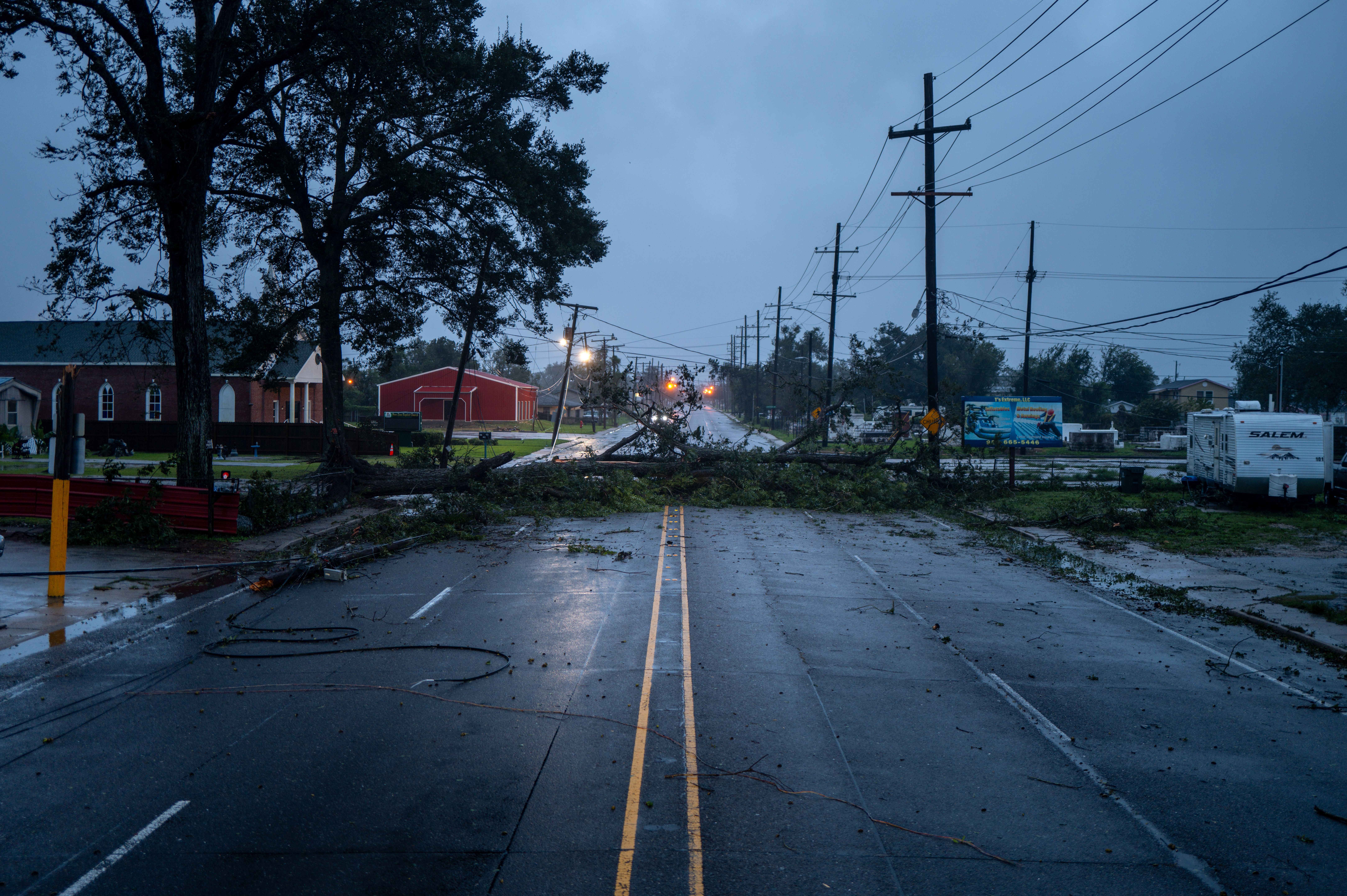 A fallen tree is seen across a four-lane street.
