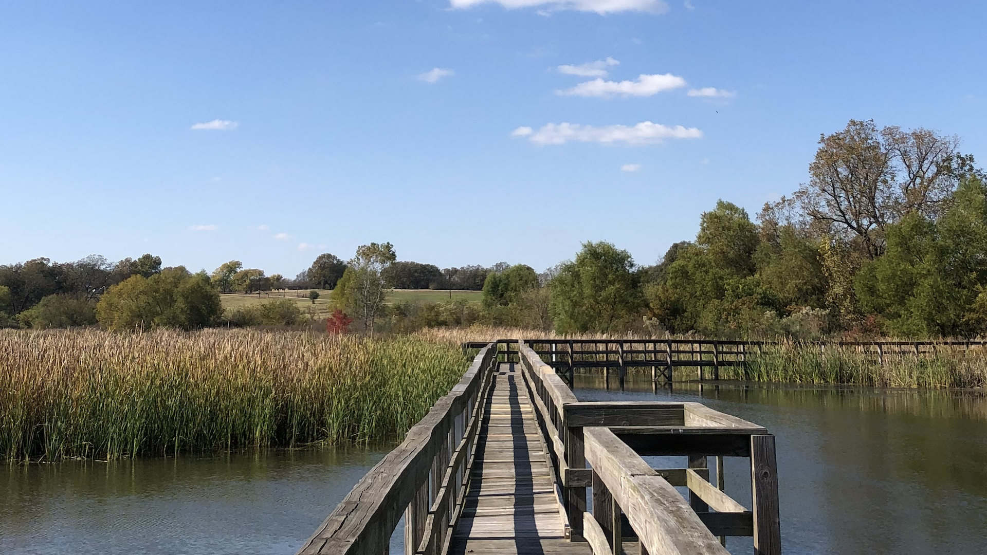 A boardwalk through a wetland center