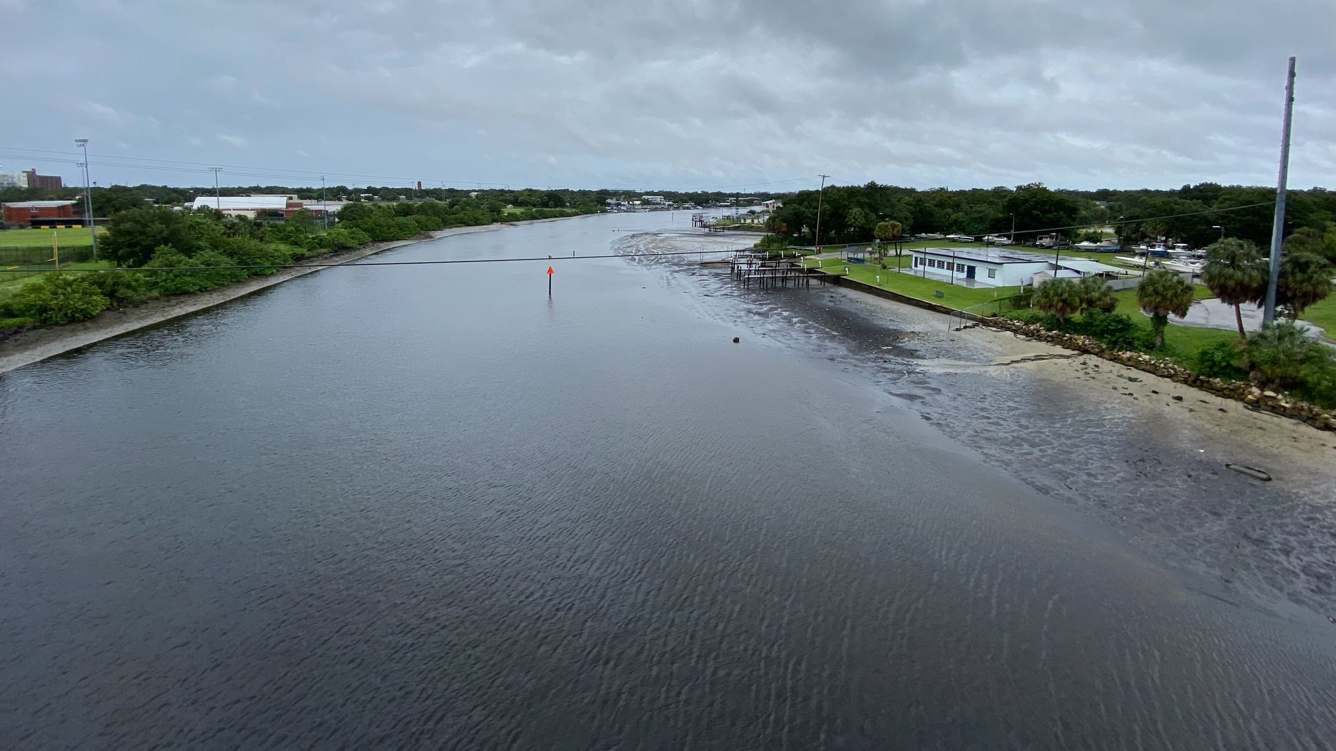 The Hillsborough River at low tide just now from the North Boulevard Bridge. 
