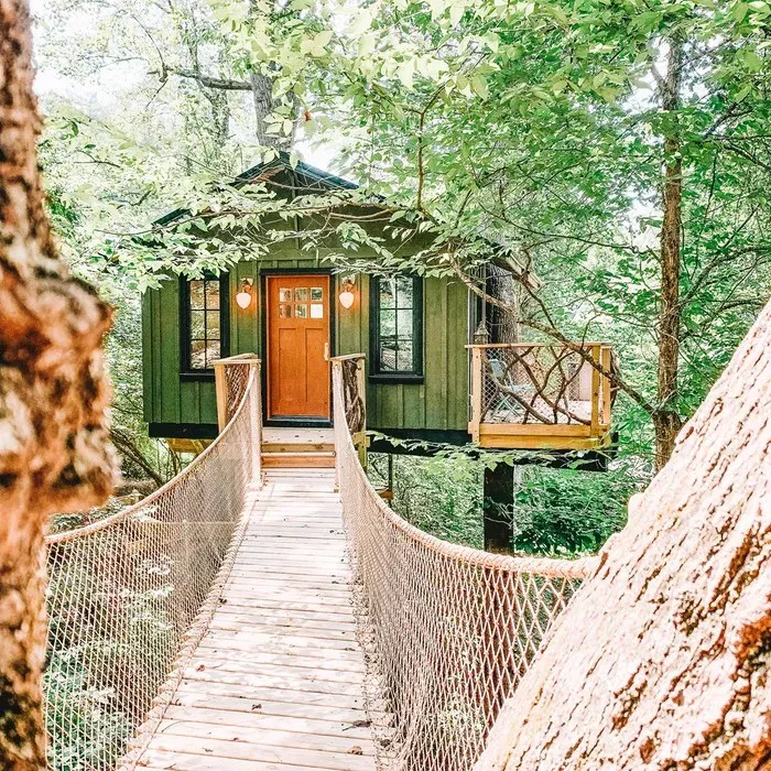 "The Nest" Tree House