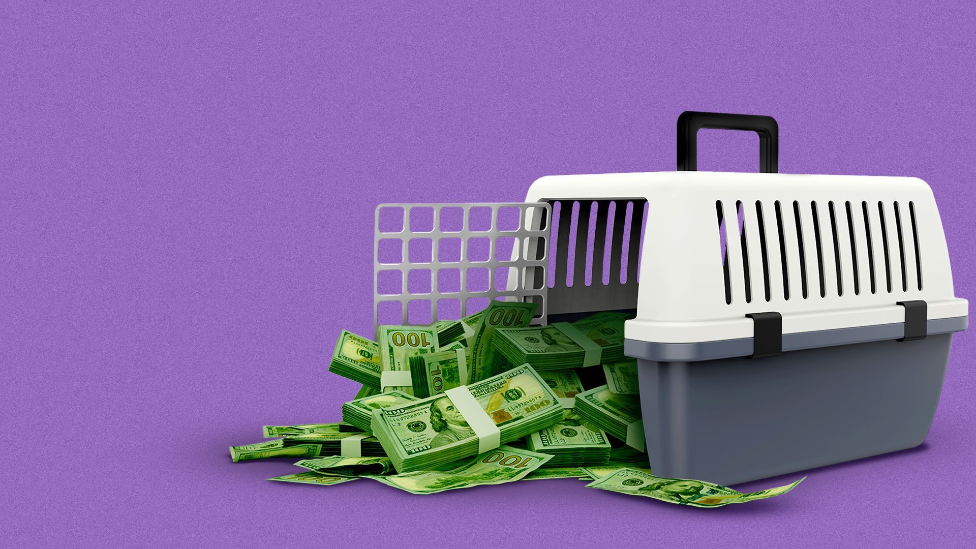 Illustration of a pet carrier overflowing with money. 