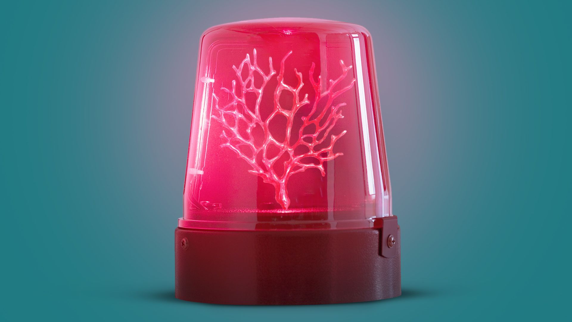 Illustration of an emergency light with coral inside