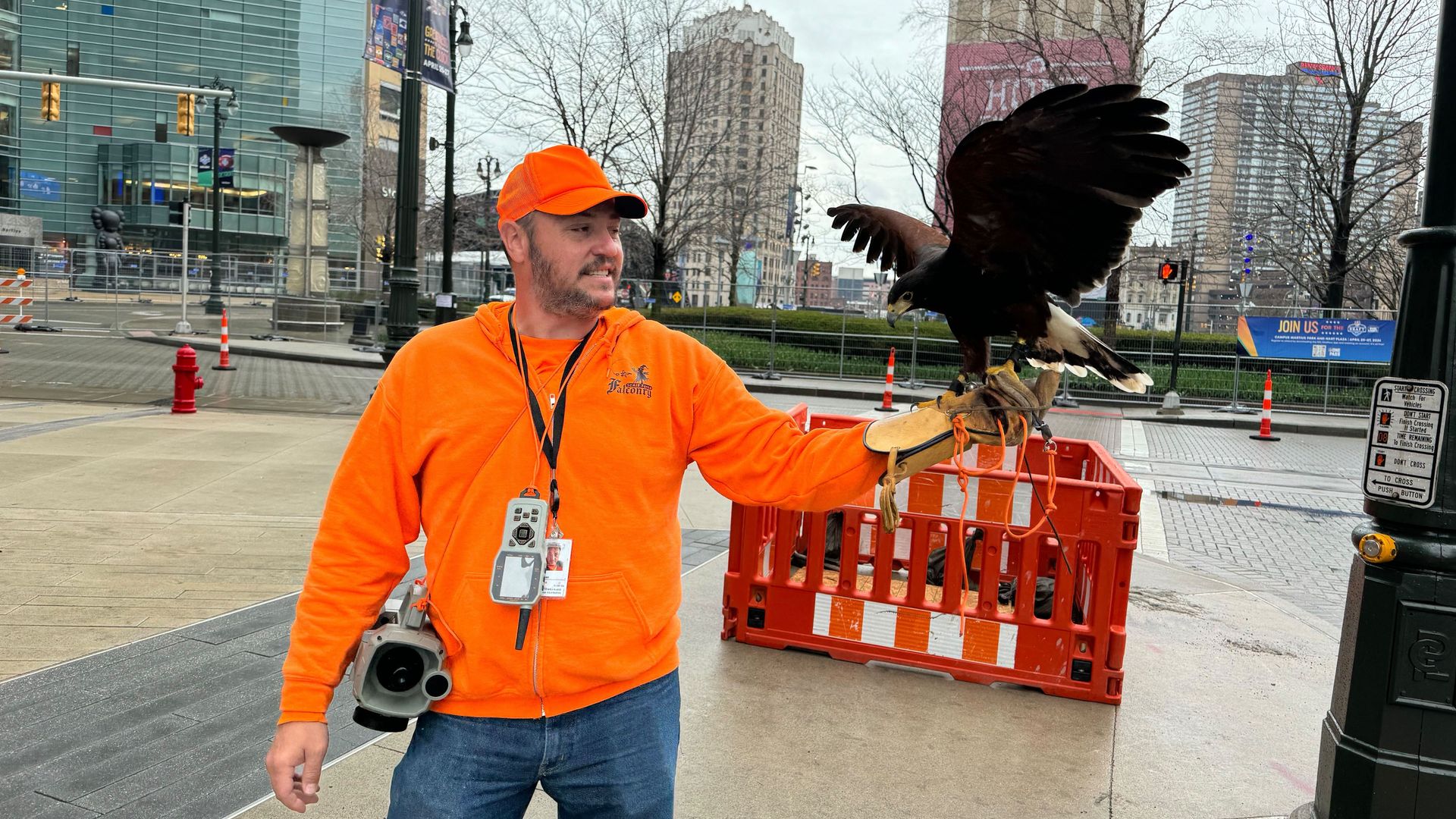 Paul Thomas and his falcon