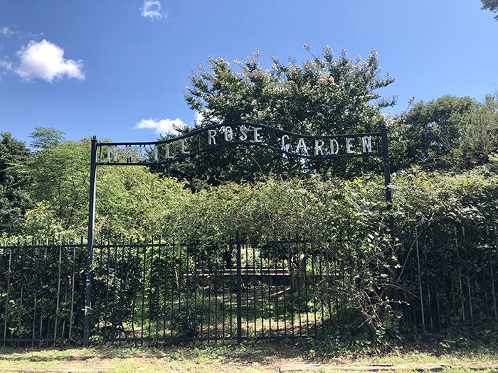 signage for rosie's wine garden