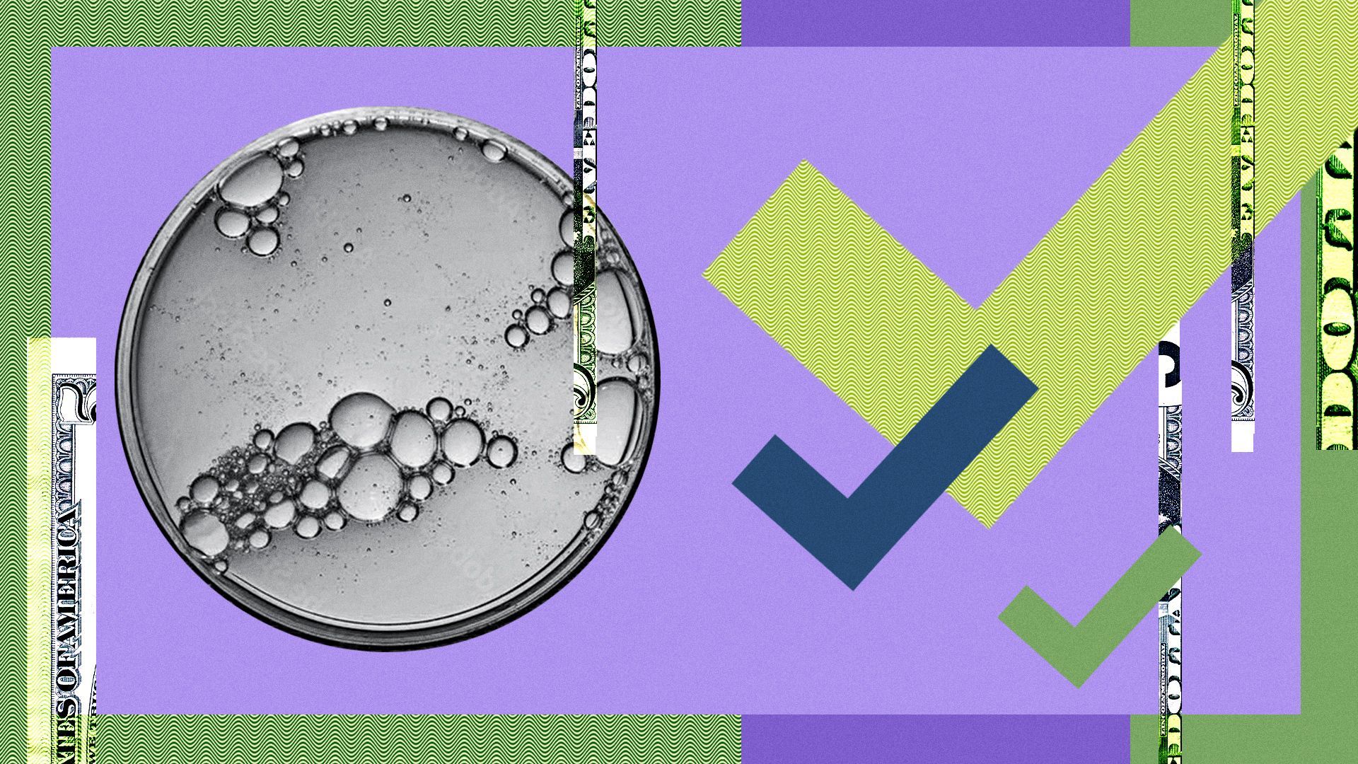 Illustration of a petri dish surrounded by abstract shapes and money.