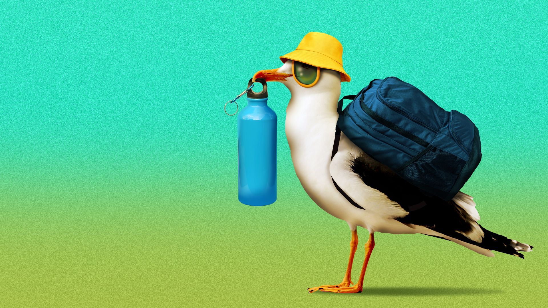 Illustration of a seagull in sunglasses wearing a bucket hat and backpack, and carrying a water bottle