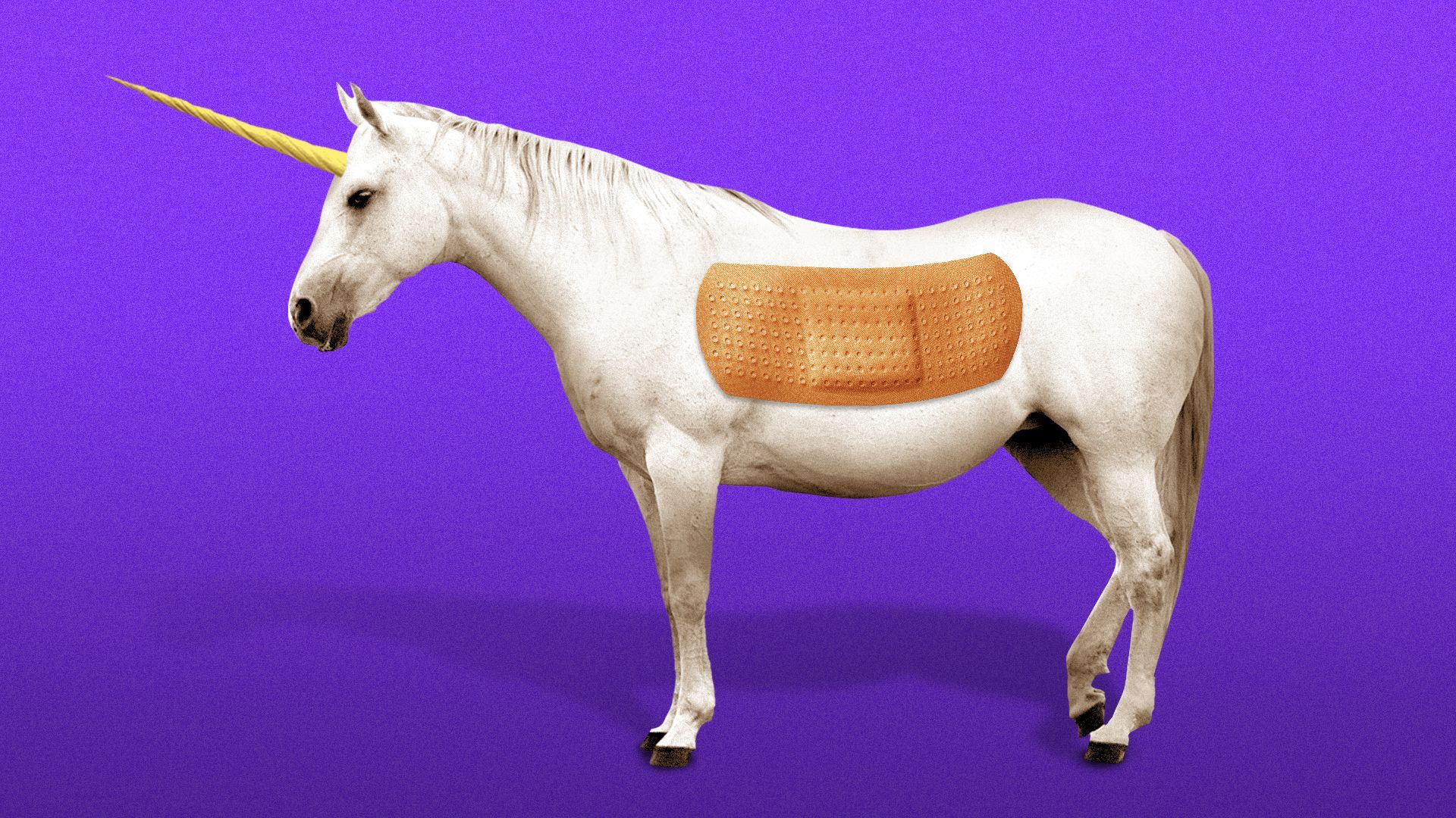Illustration of a unicorn with a bandaid.