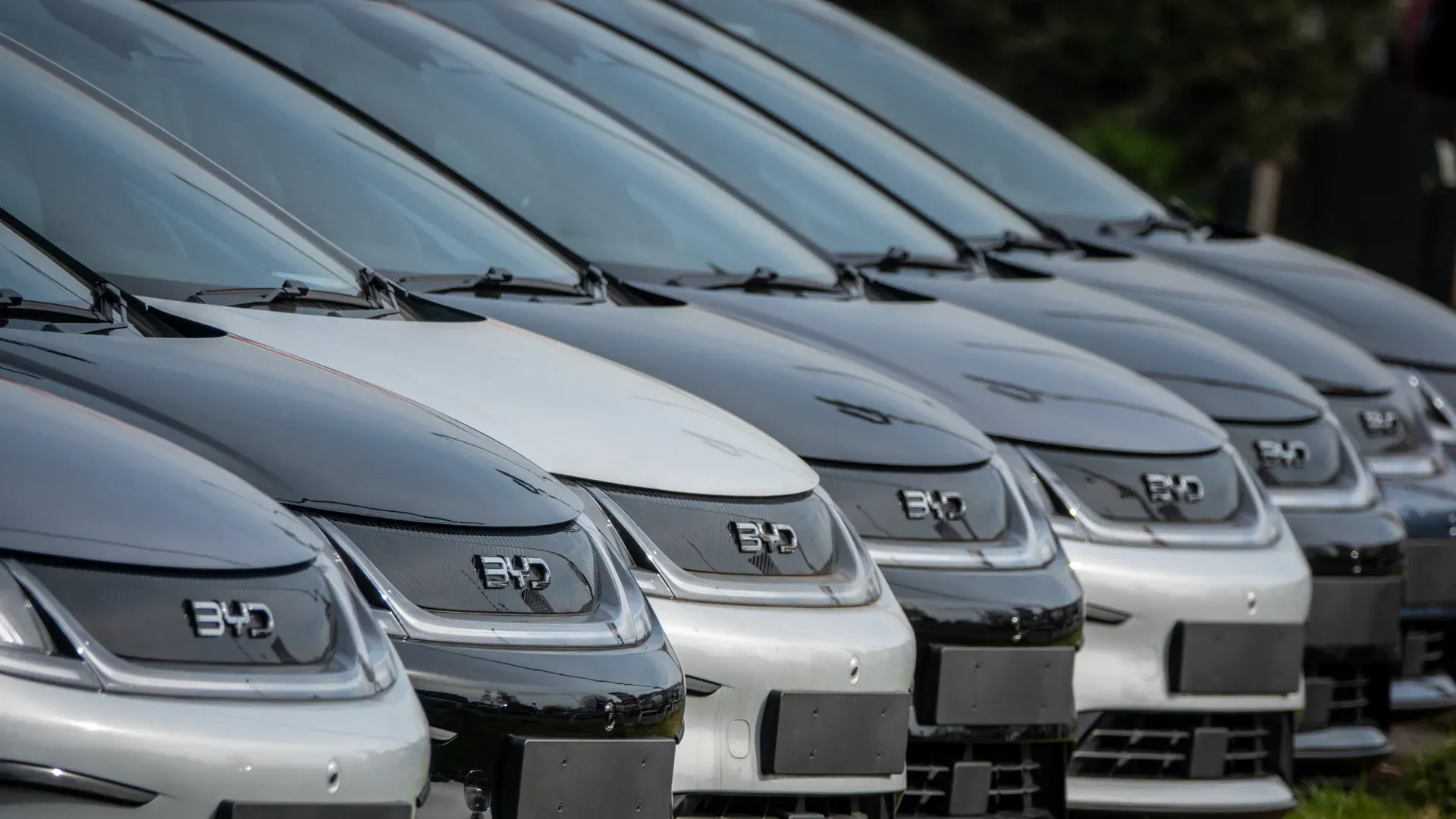 Photo of BYD vehicles in a parking lot