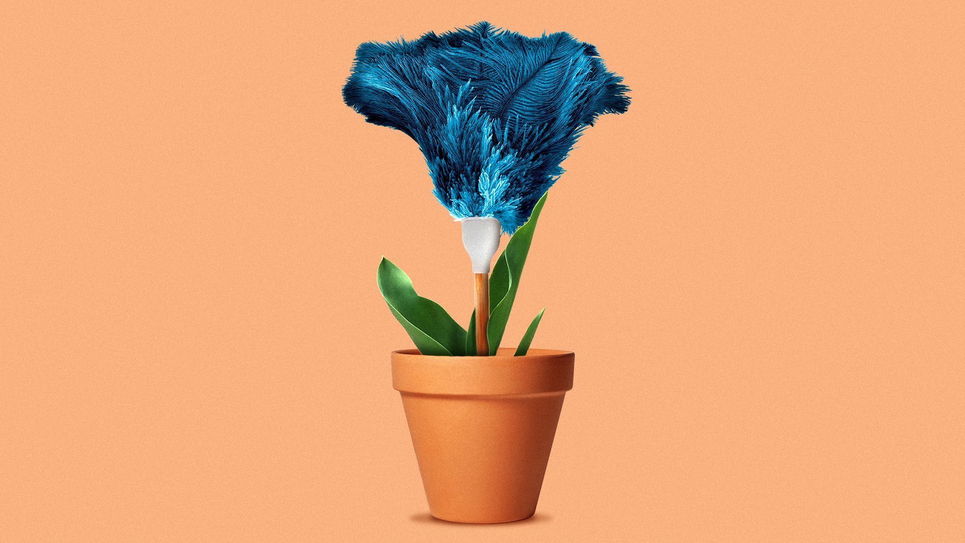 Illustration of a feather duster as a flower in a flower pot.