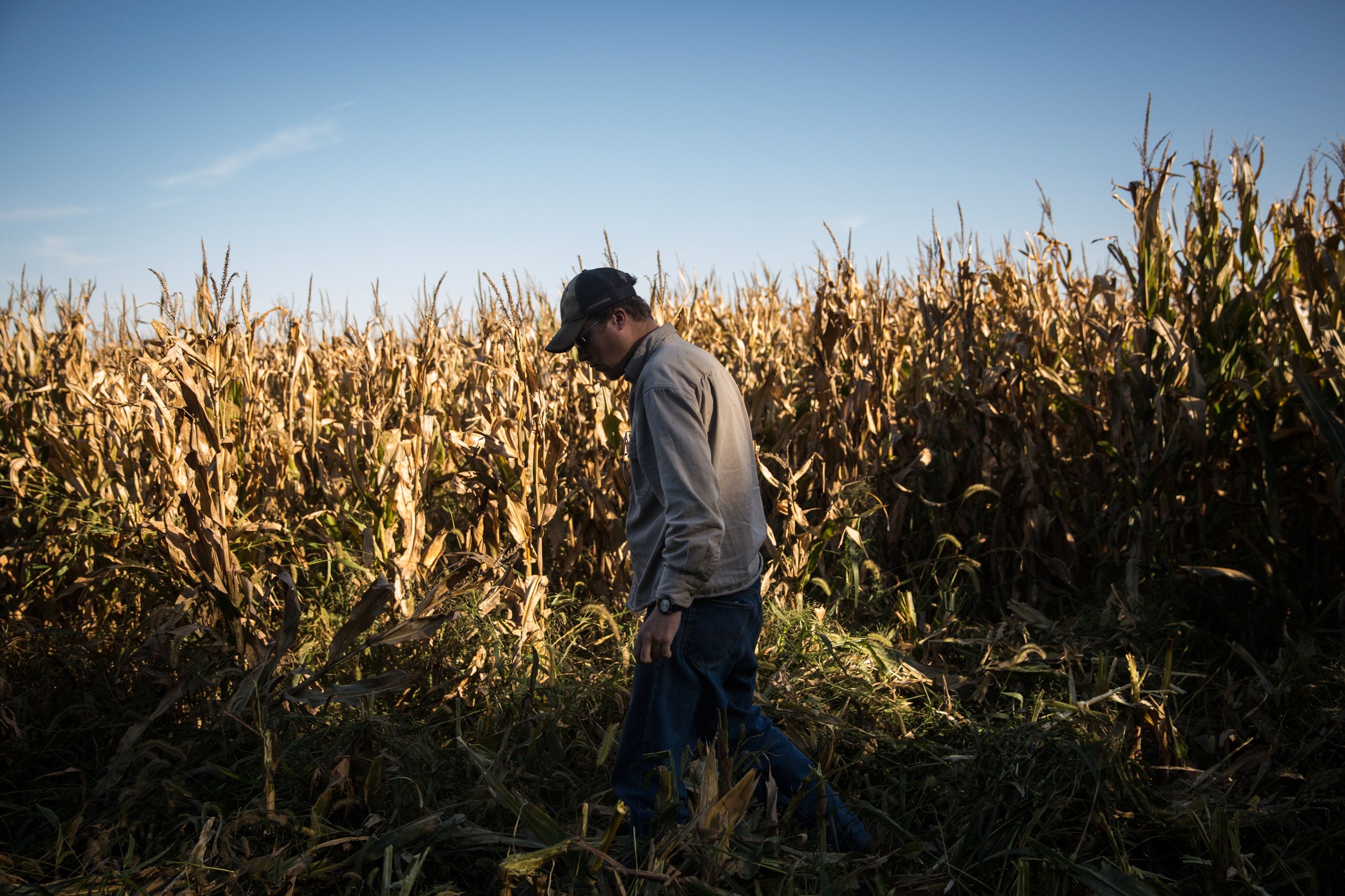 Nebraska's corn farmers are 