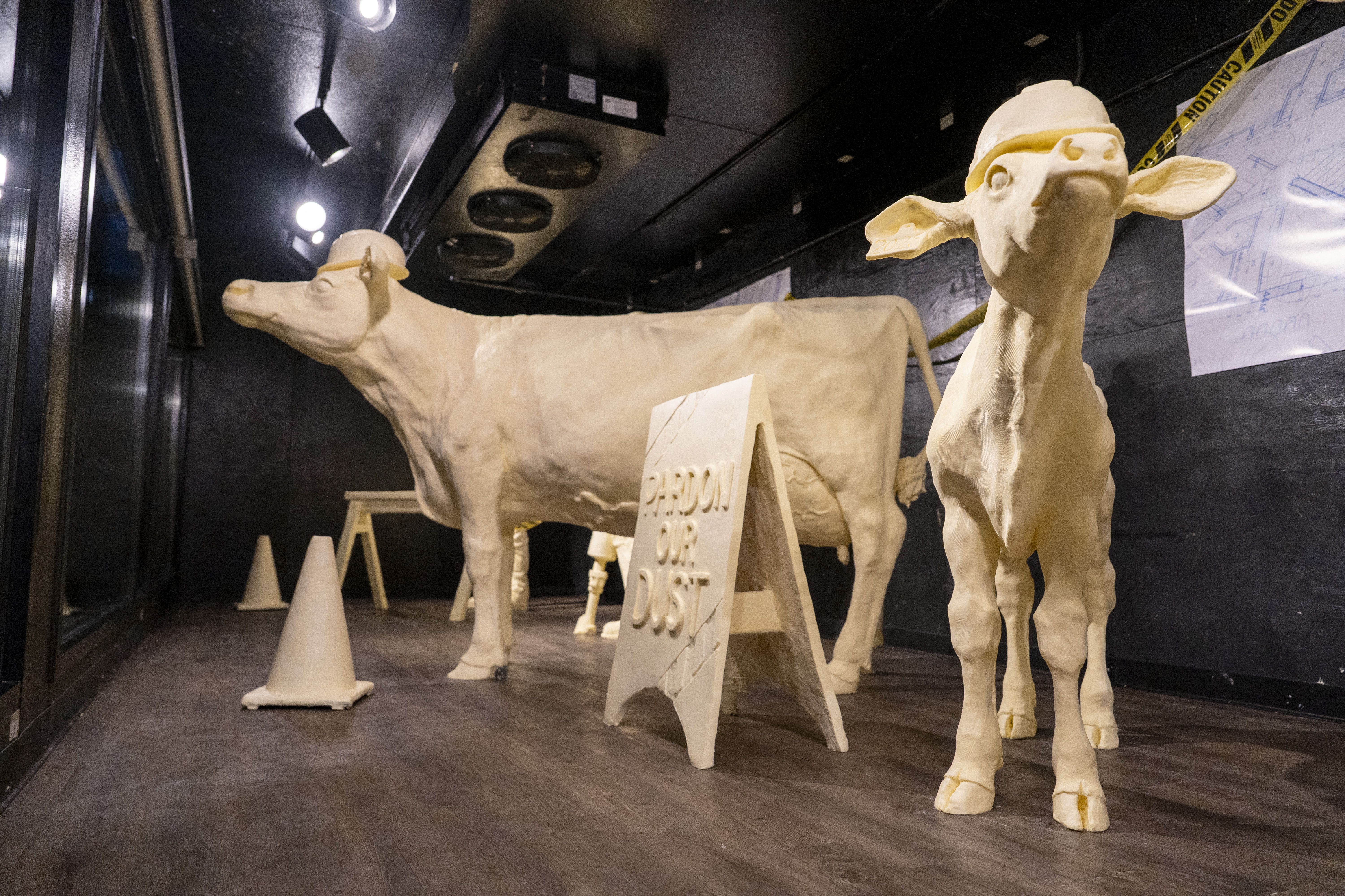 Two life-size butter sculptures of a cow and calf wearing yellow construction hats in a dimly lit room with a sign saying "Pardon Our Dust" and small cones nearby.