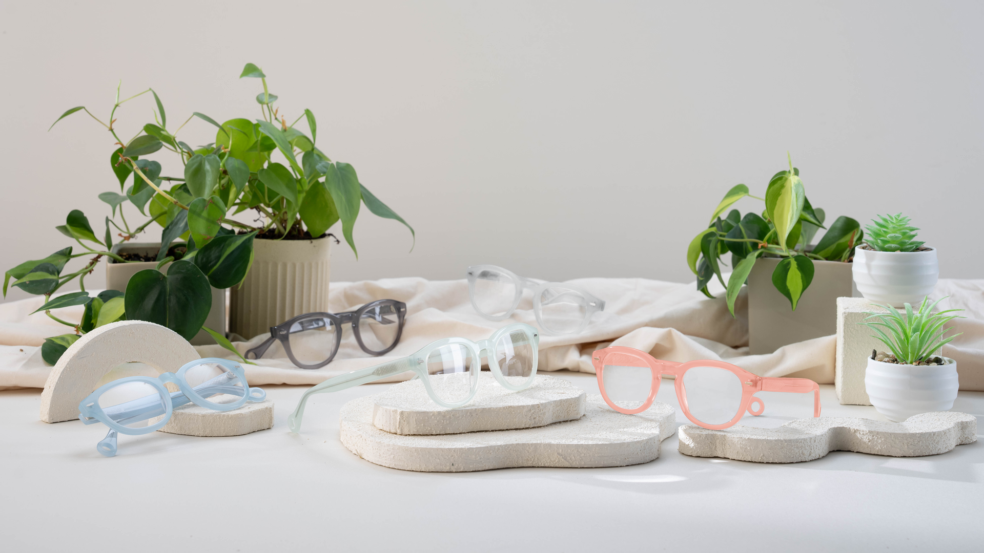 A bunch of fun reading glasses surrounded by plants 