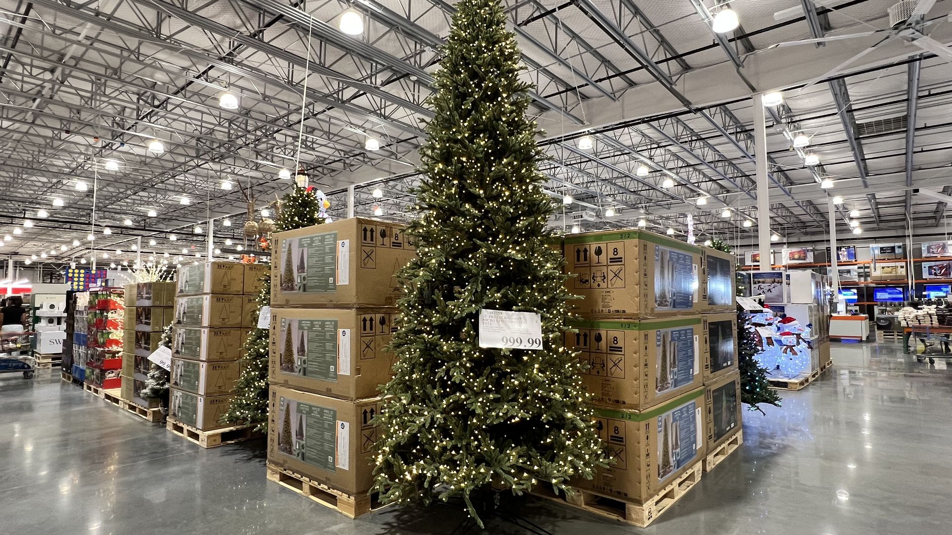 Photo of a large Christmas tree