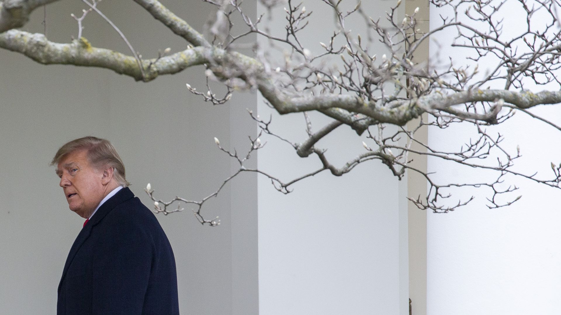 President Trump is seen walking back to the Oval Office after returning from his Christmas vacation in Florida.