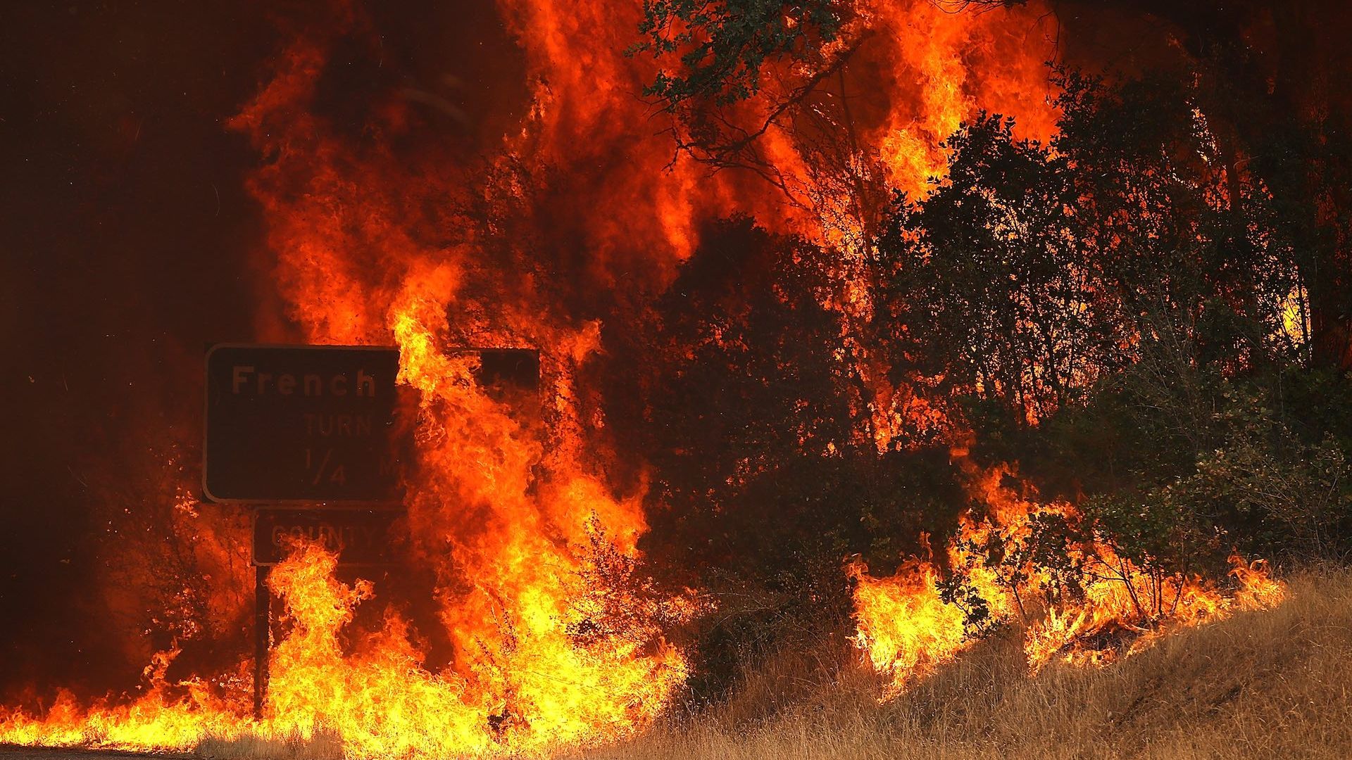 The Carr Fire in Redding, California consumes a road sign as it burns out of control.