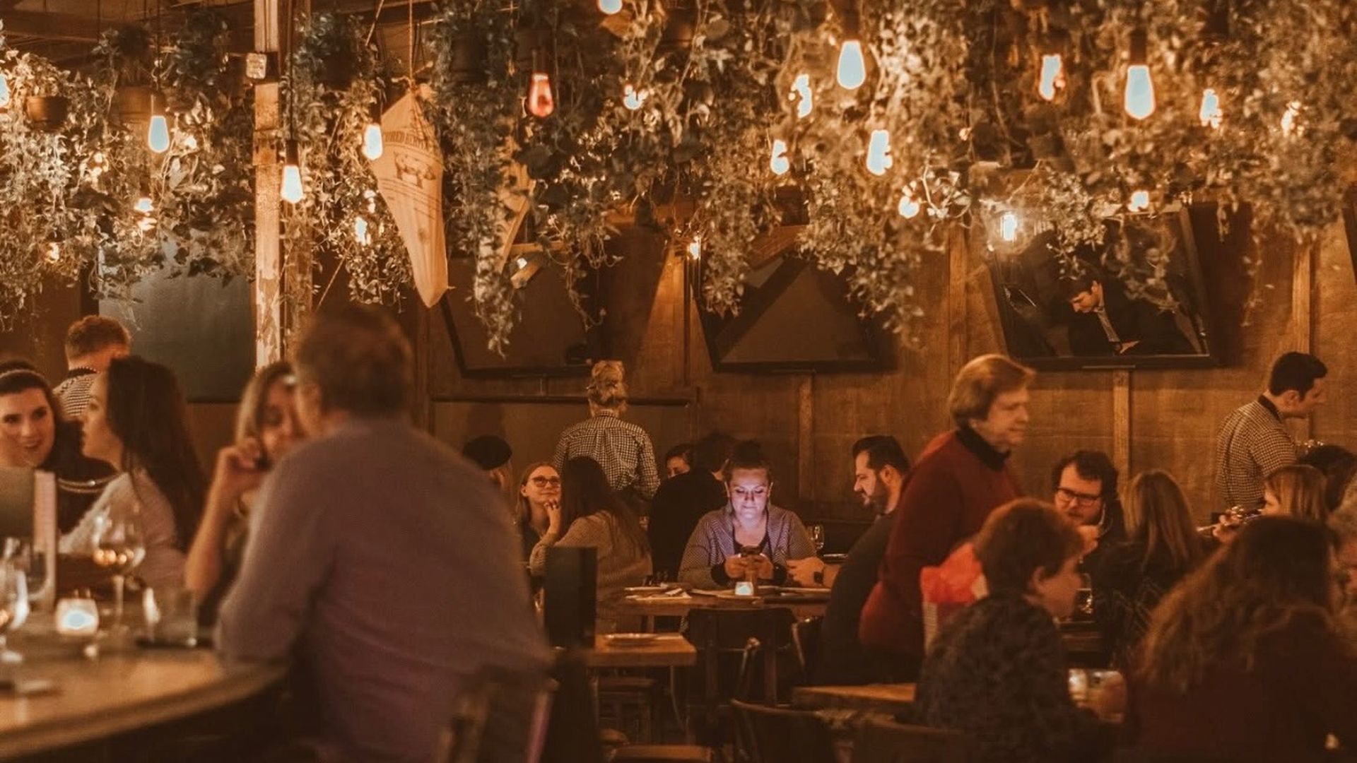 Cozy restaurant with warm lighting, hanging plants, and people dining and chatting at wooden tables, creating a lively and intimate atmosphere in the evening.