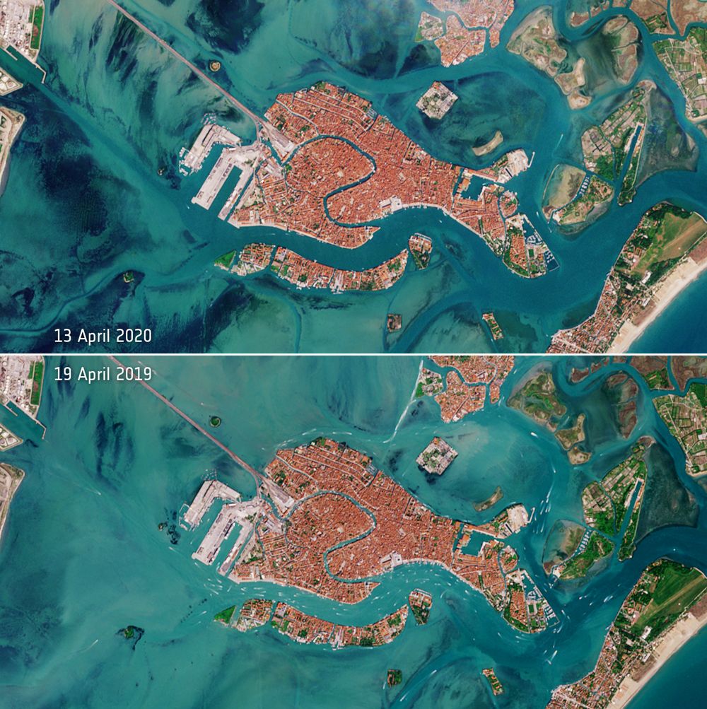 Images from space of Venetian waterways, clearer during pandemic shutdowns versus before. 