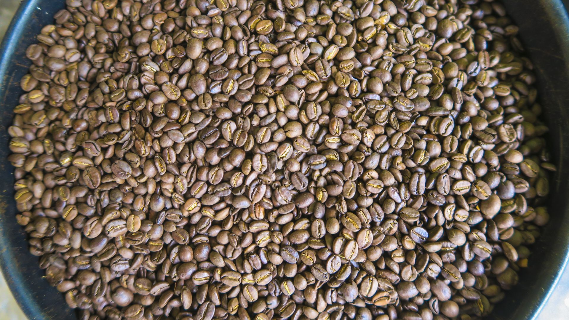 Local roasted coffee beans, Arabica, at the coffee farm La Victoria on August 19, 2016 in Minca, Colombia. The coffee is made for export. (Photo by EyesWideOpen/Getty Images)