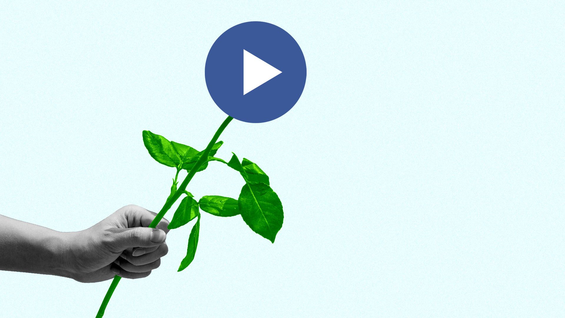 Illustration of a hand holding a flower made of a blue play icon