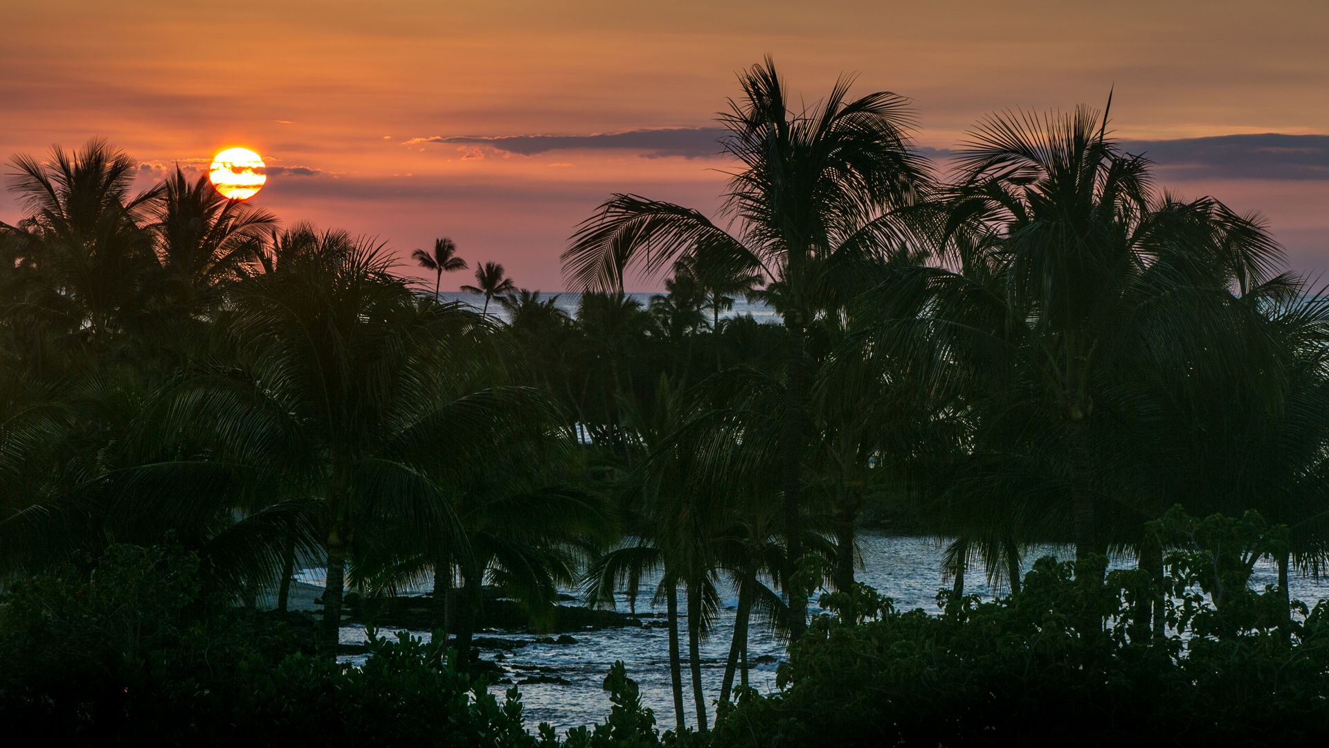 A Hawaiian sunset