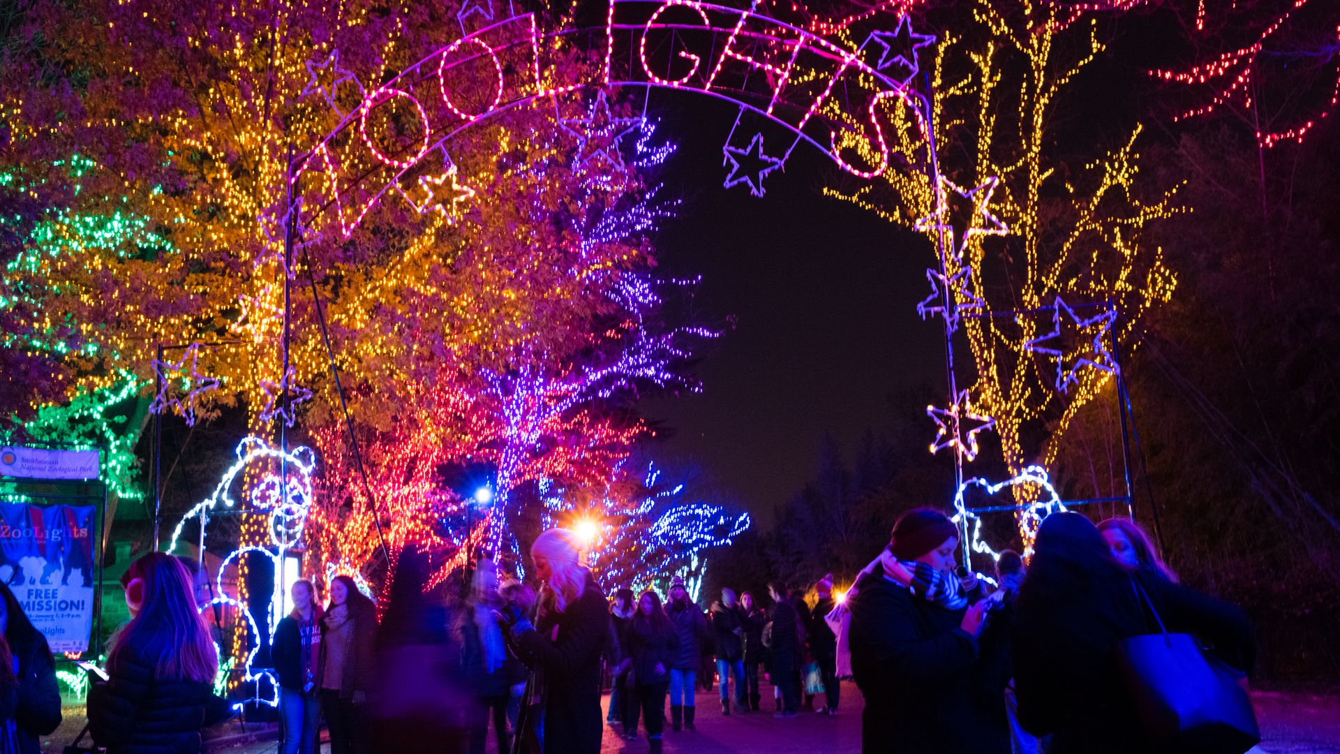 Colorful holiday lights decorate trees and an archway with stars and animal shapes, as people walk and gather at night at ZooLights event.