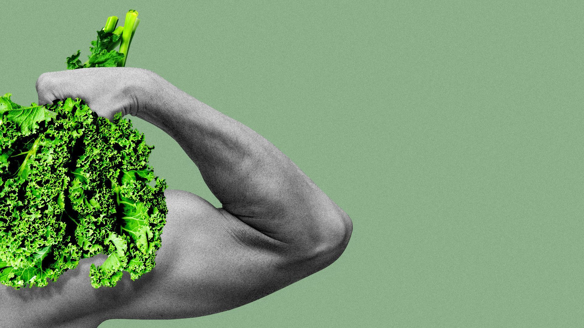 Illustration of a muscular arm holding a bunch of kale.