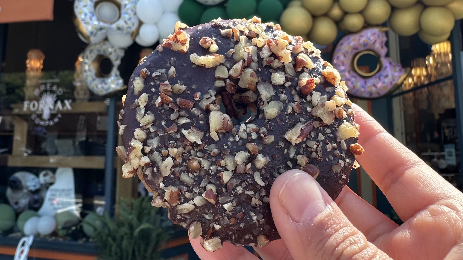 A chocolate pecan vegan donut