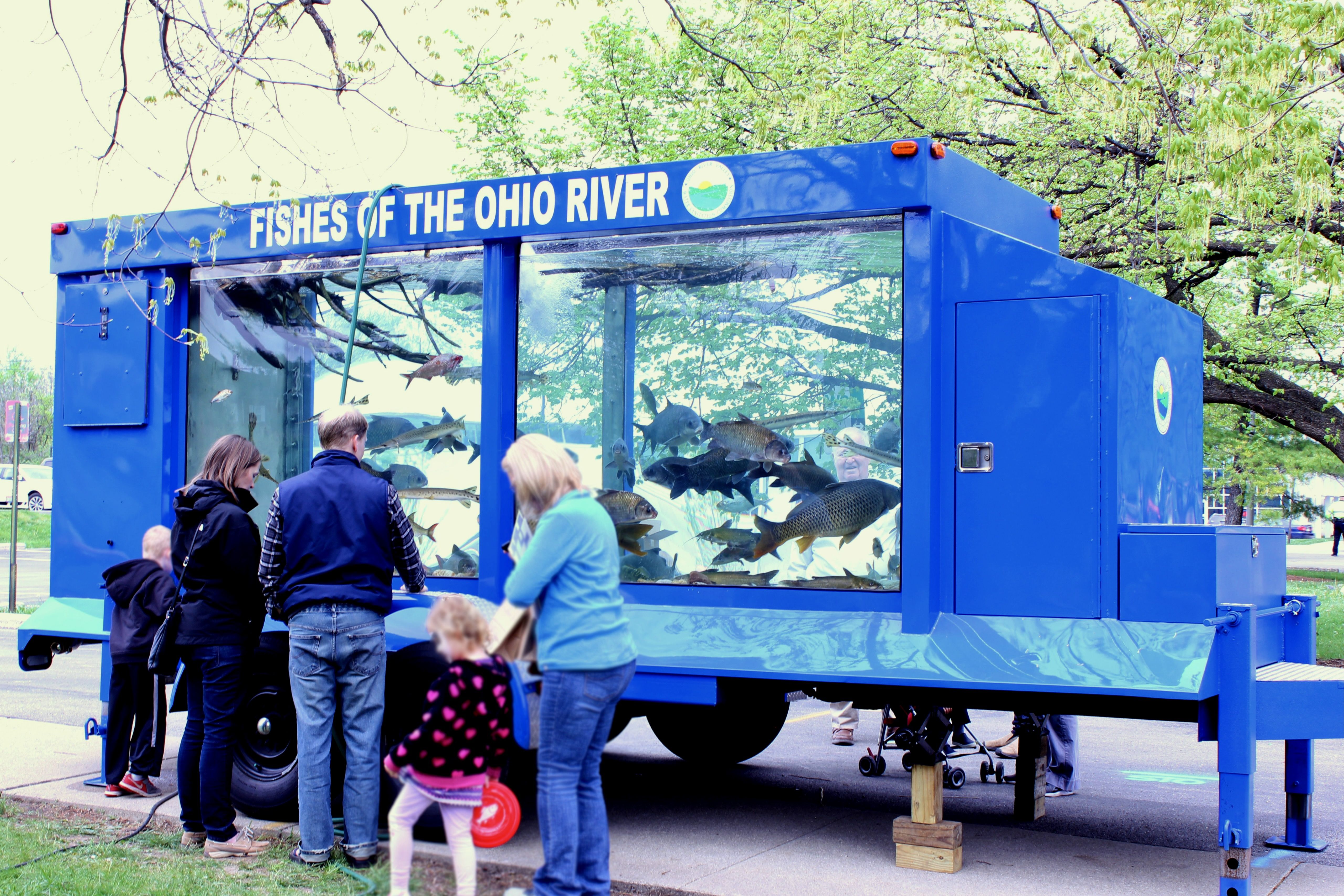 A vivid blue mobile aquarium labeled "FISHES OF THE OHIO RIVER" sits in a park, its glass tank filled with various fish while several adults and children observe.