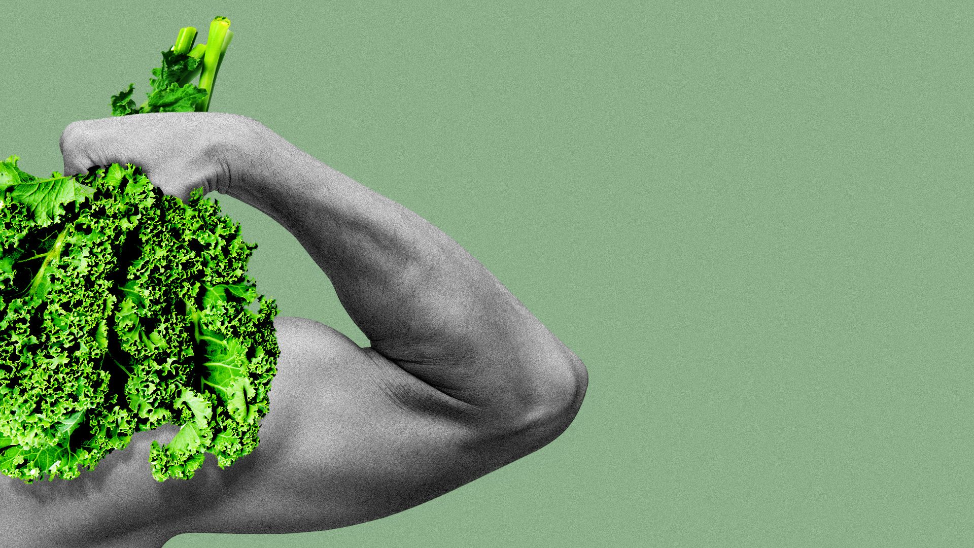Illustration of a muscular arm holding a bunch of kale.