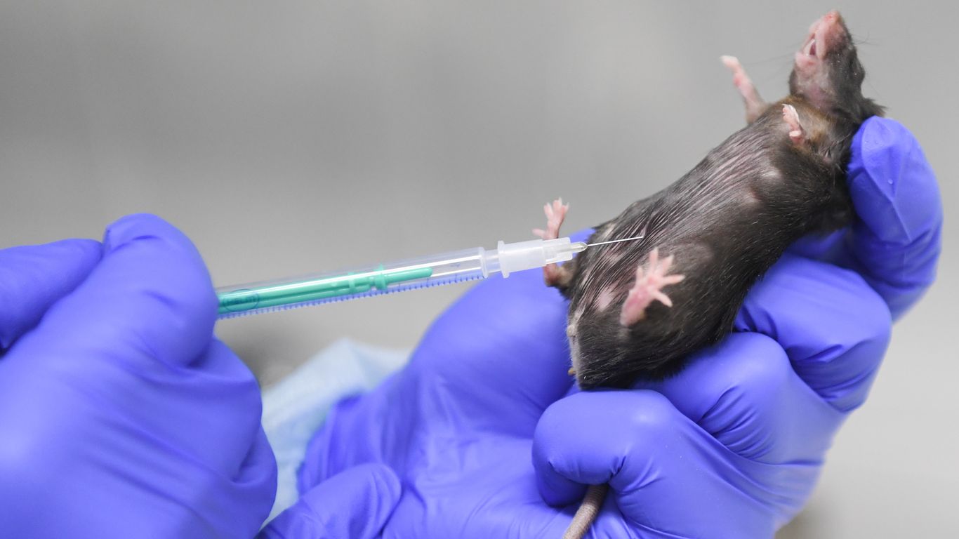 Biotech startup Emulate raises 36 million for alternative to lab