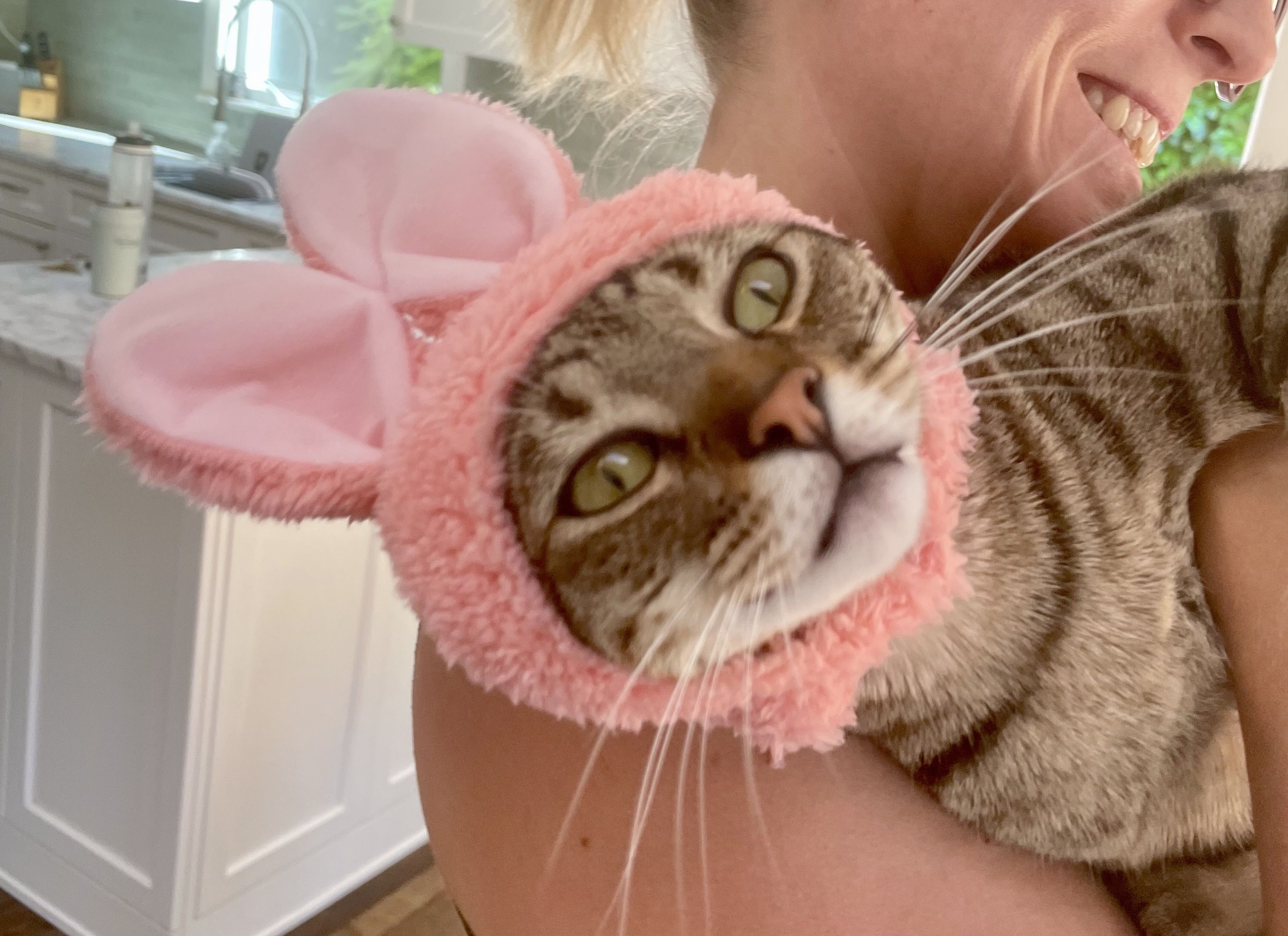 Gray tabby cat wearing a fluffy pink bunny ear hat, being held by a smiling person in a kitchen with white cabinets and a marble countertop.