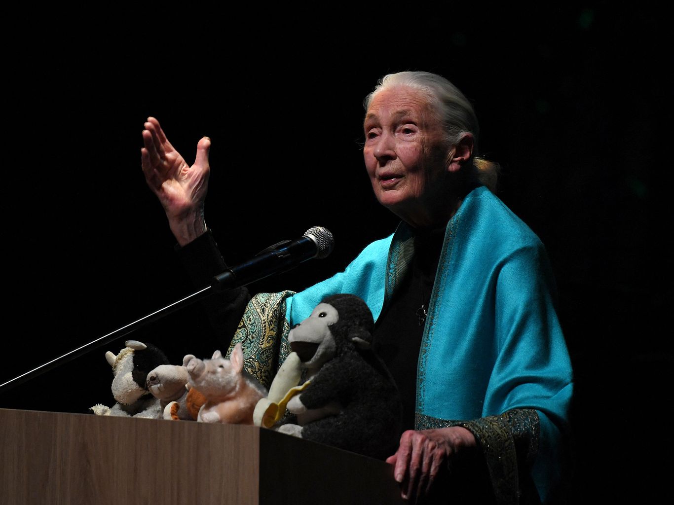 Santo Goodallさん専用 1724863030033.jpg