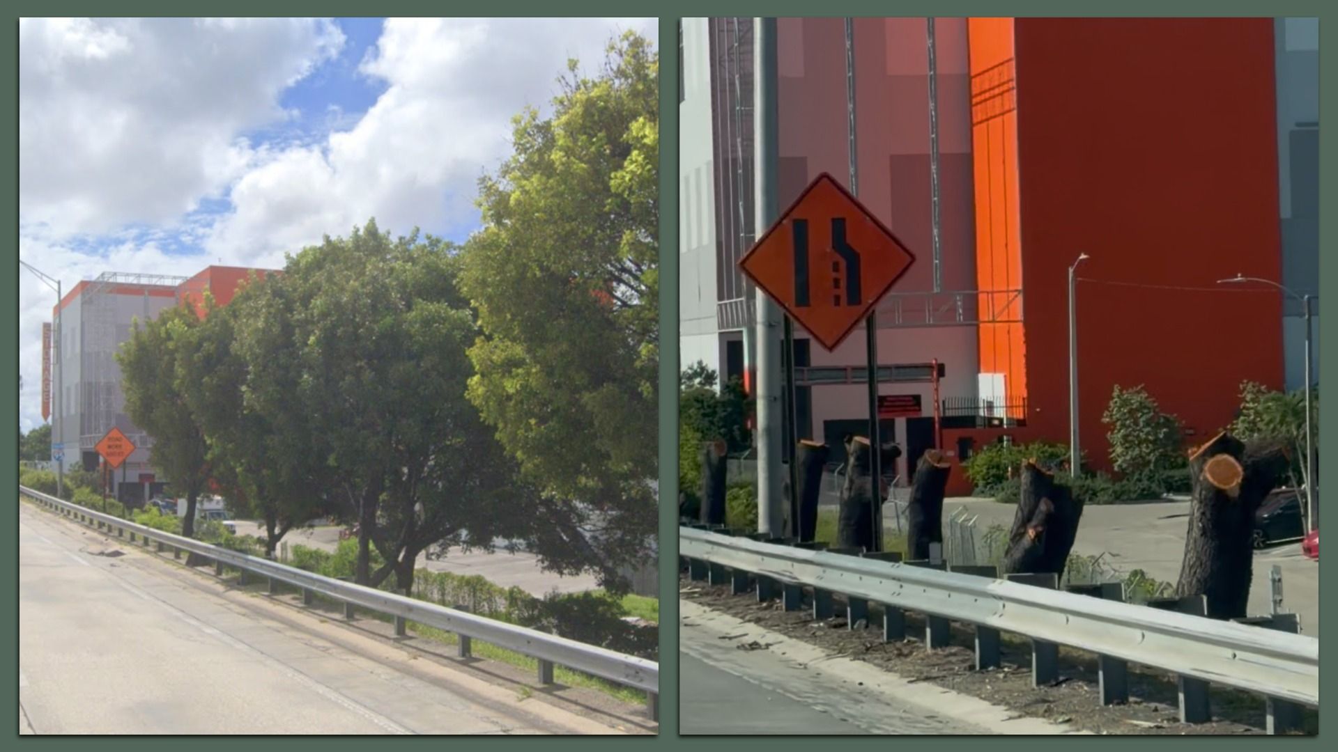 (From left to right) The trees along I-95 last year versus Aug. 19. Photos: Google Maps; Sandy Moise.