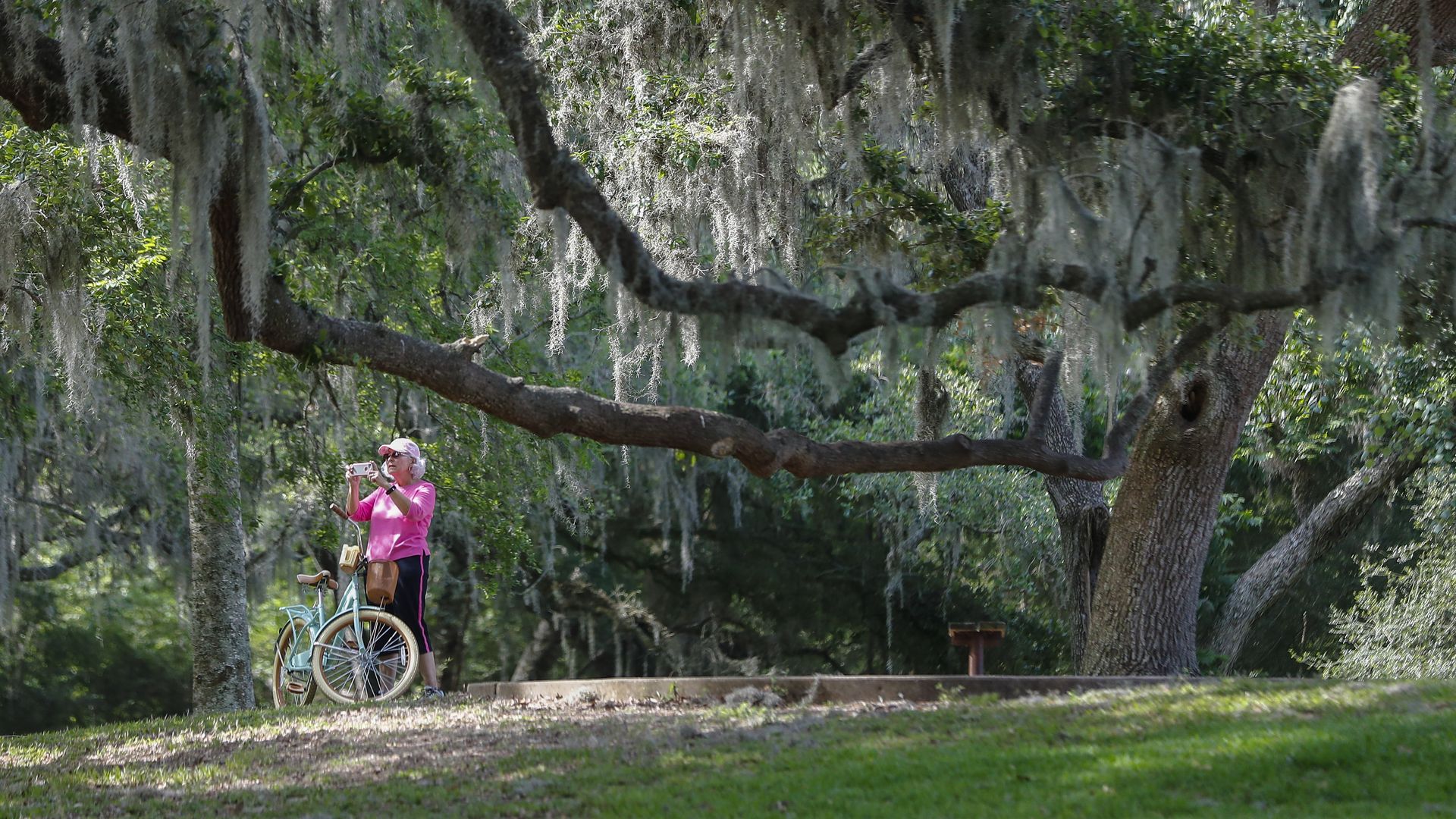 A woman in pink with a bicycle takes photos under trees with Spanish moss near 40 Acre Lake at Brazos Bend State Park