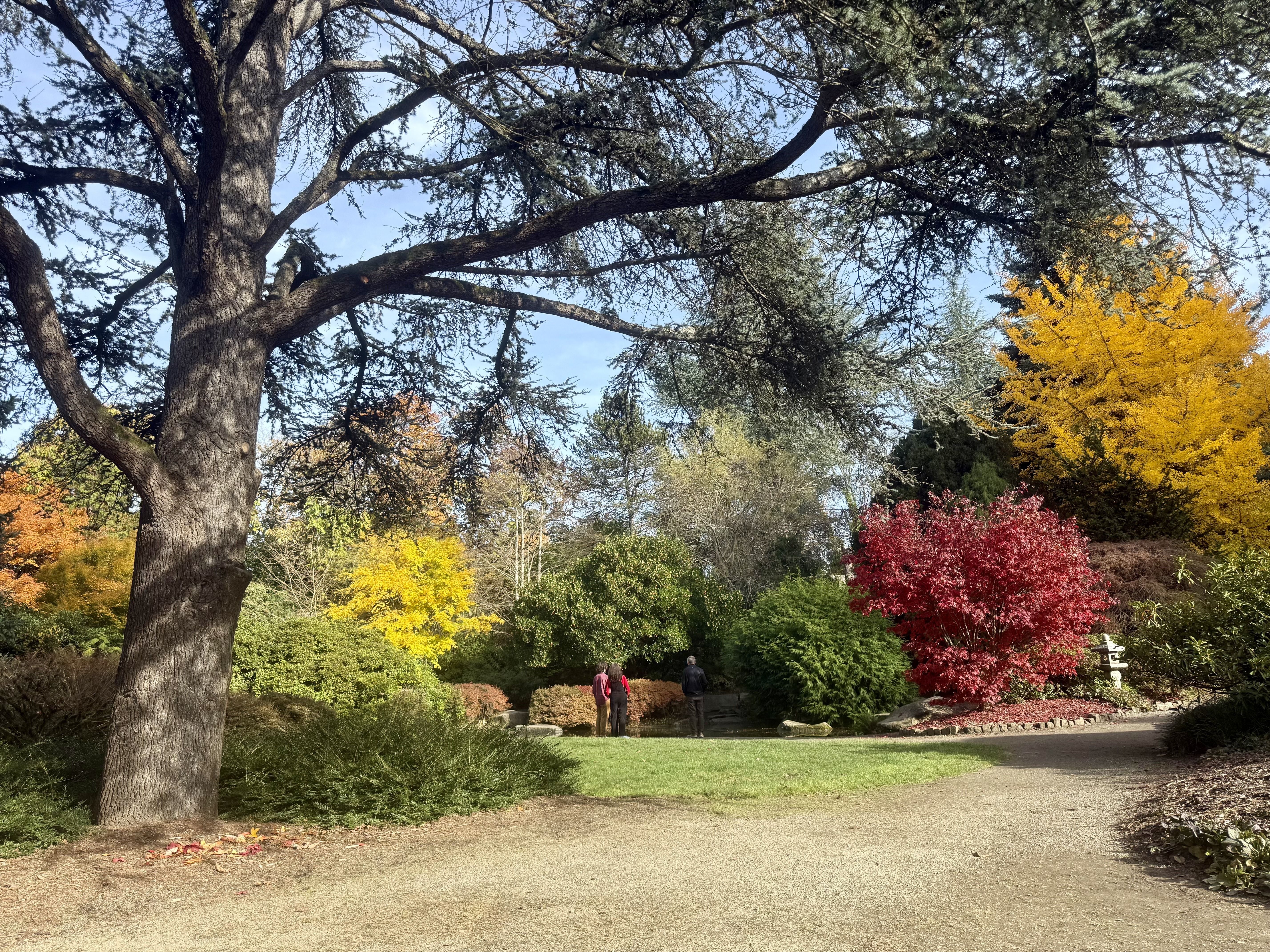 Autumn garden scene with large tree in foreground, vibrant red, yellow, and orange foliage, green shrubs, a dirt path, and three people standing in the background under a clear blue sky.