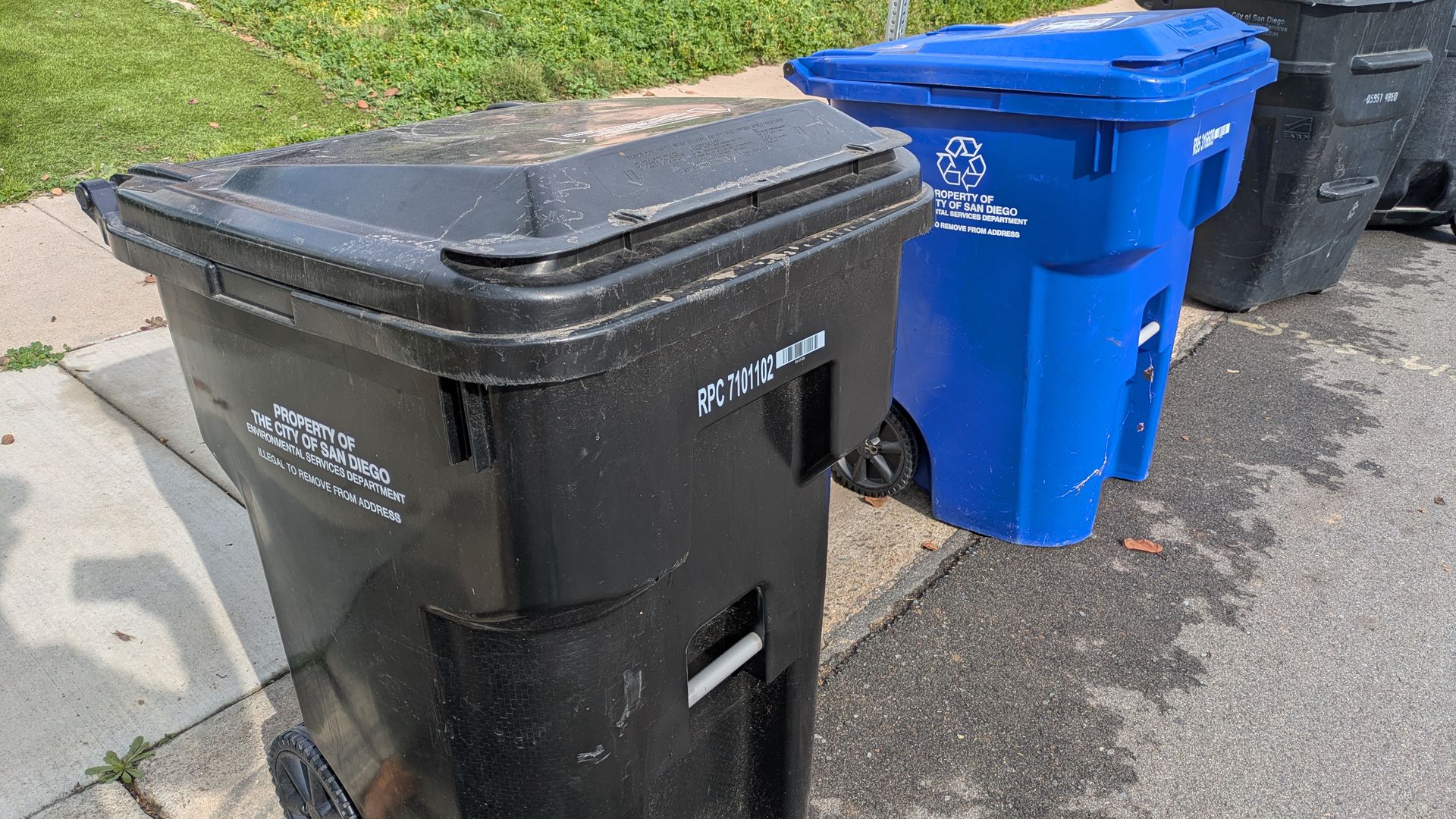 A row of large trash and recycling bins (black foreground, blue recycling bin, gray behind) on a sidewalk beside a green lawn; a white SUV is parked in the background.