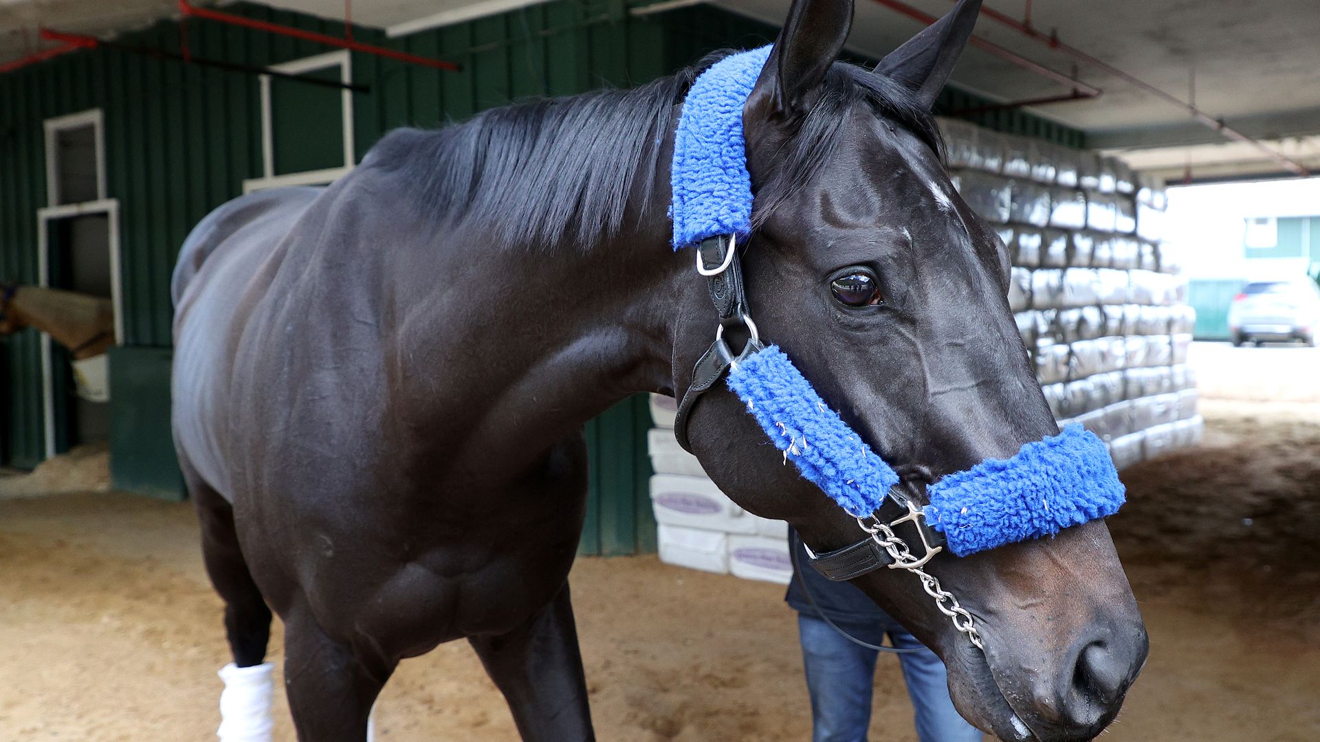 Kentucky Derby winner Medina Spirit