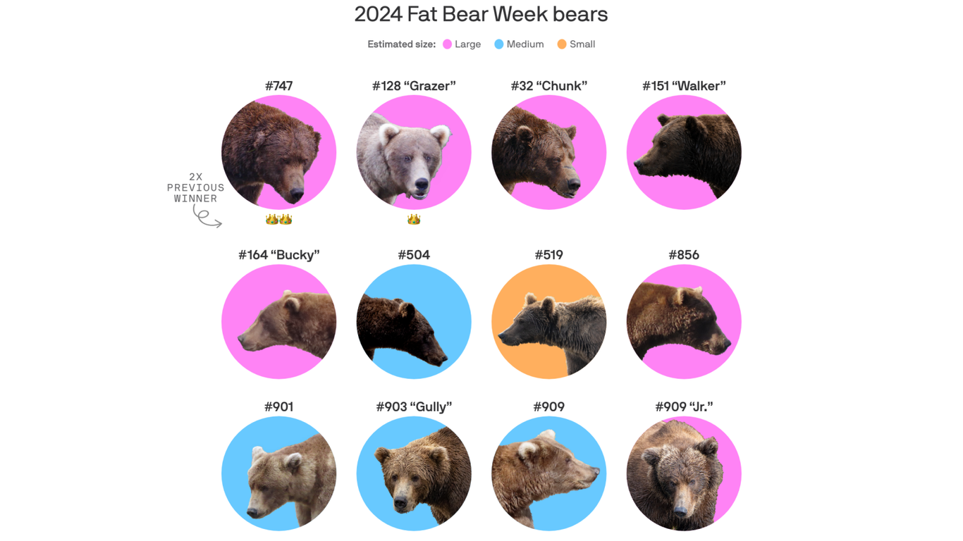 Vivid Fat Bear Week 2024 Winners Photo Illustration Vivid Fat Bear Week 2024 Winners Photo Illustration